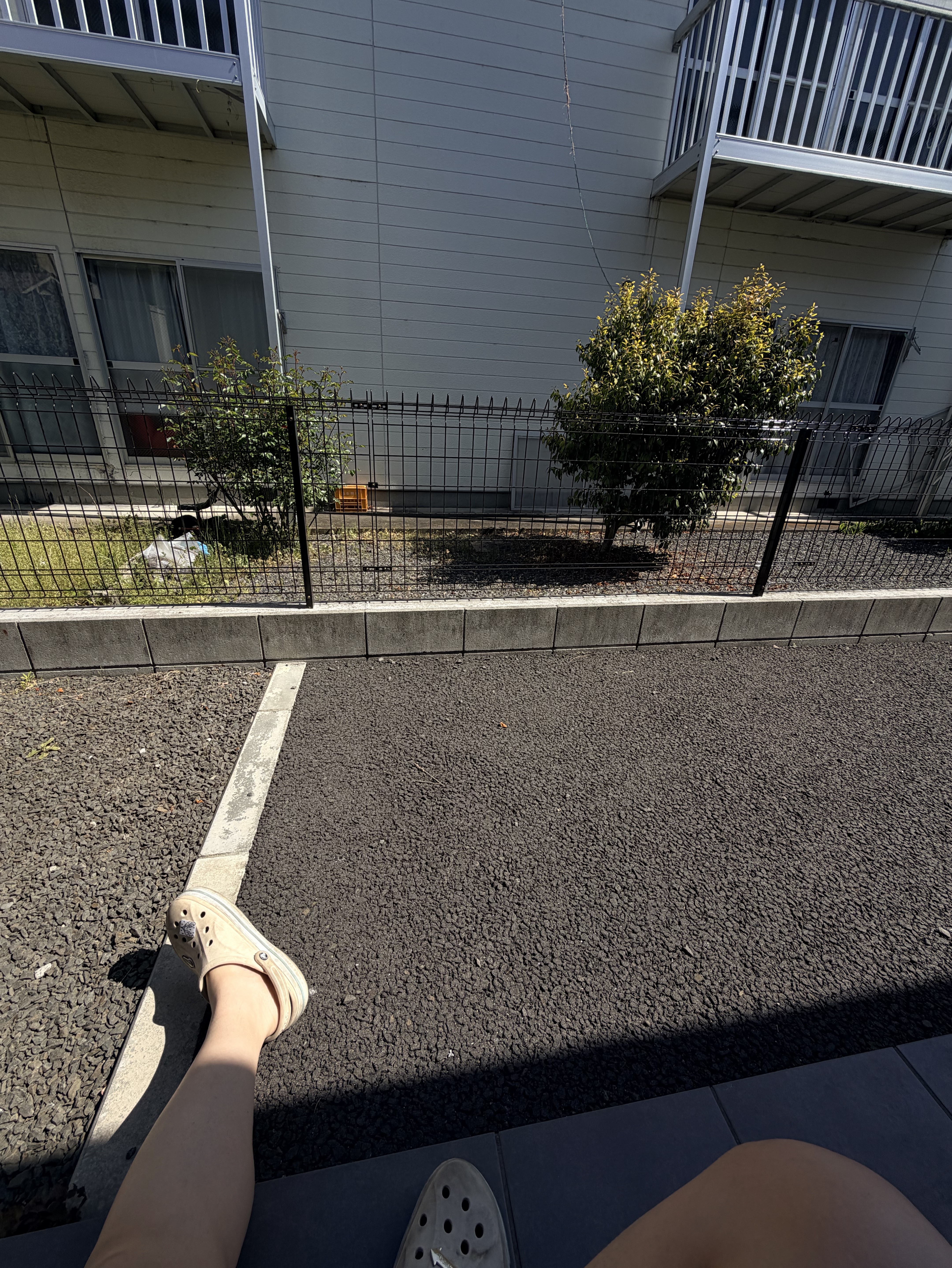 おはよう朝‼️輝いてる俺‼️流石に眠い