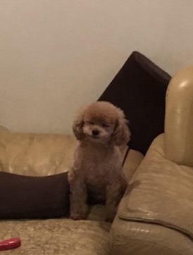 ハッピーな人です🪄︎︎✨