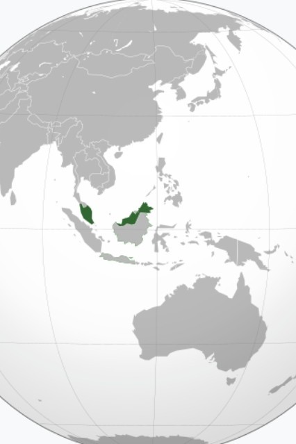 コラボ自由！⭕初見　集え！