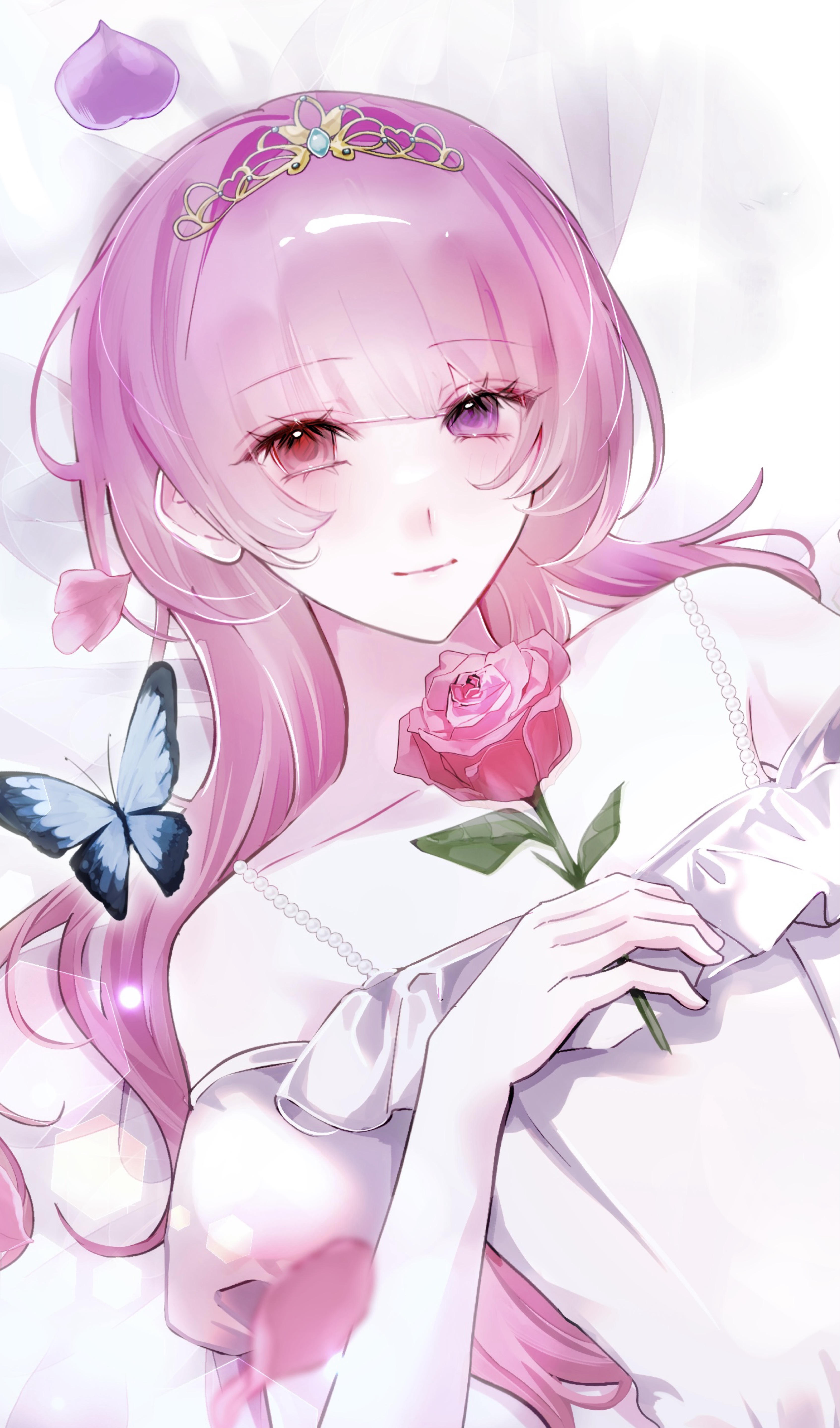 おひるまったり🦋