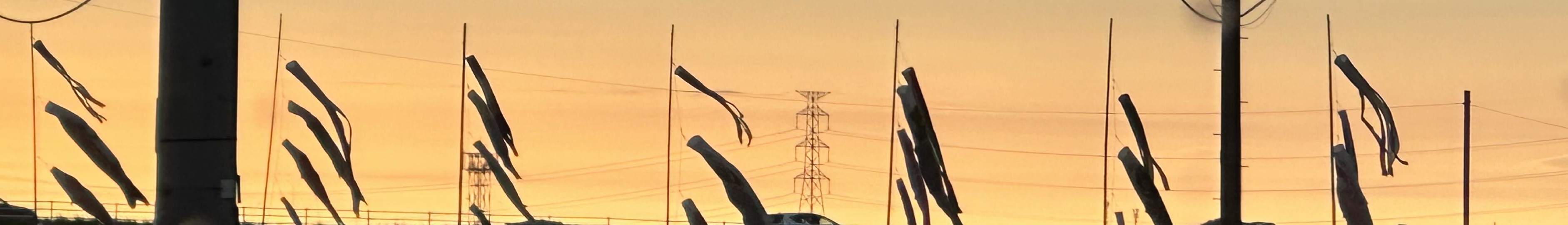 トーリス耐久400😭ハー落ちお願いします