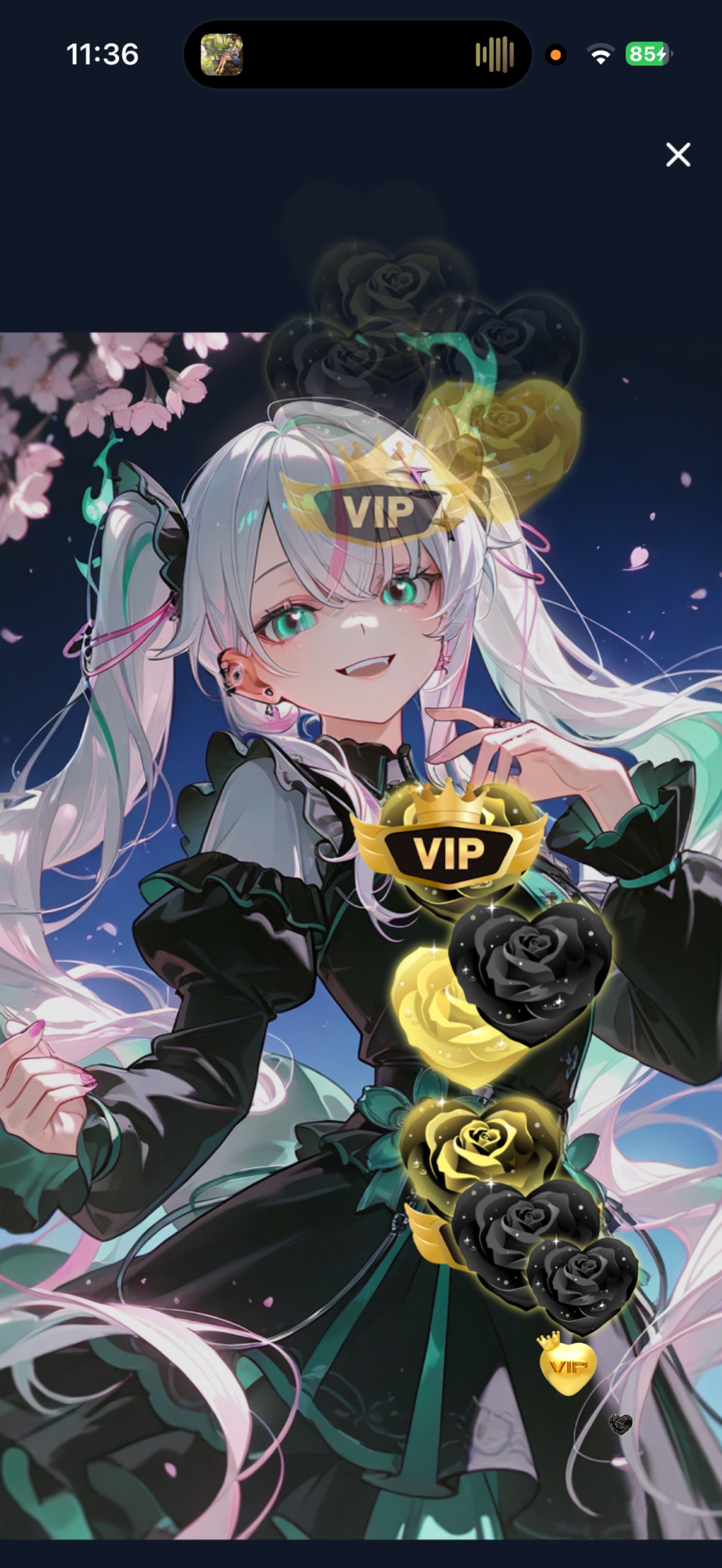 機材お披露目⁉️✨