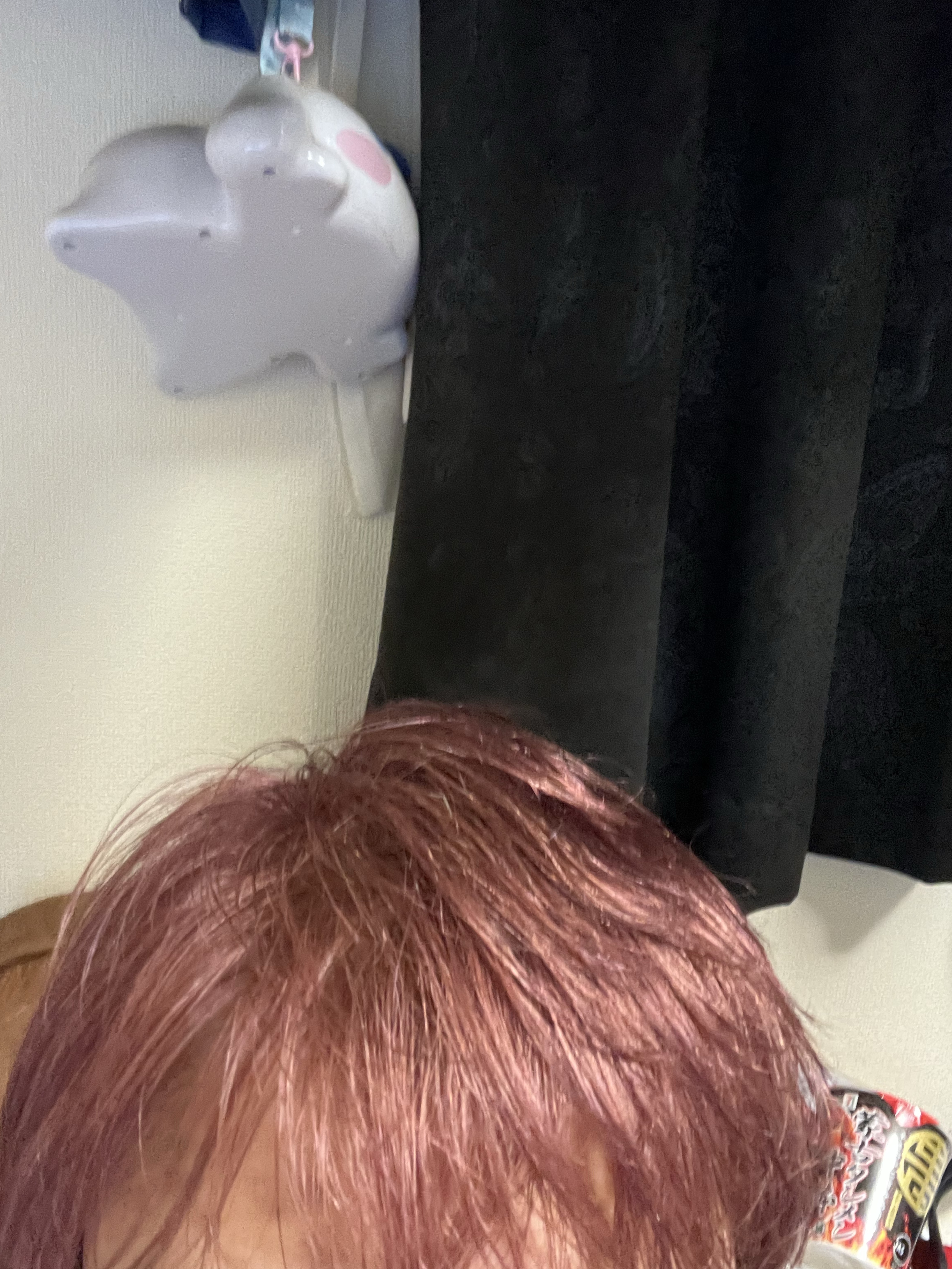 気になる？（30分）