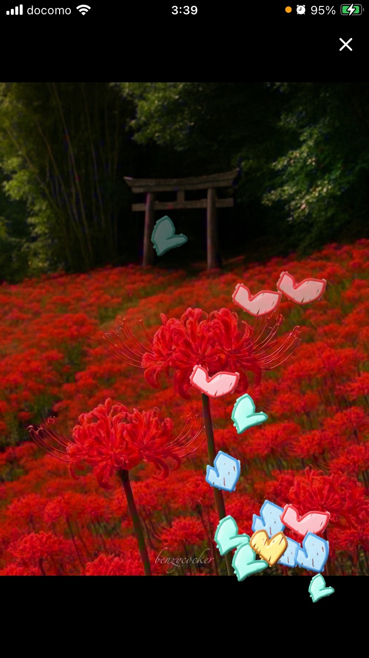 主が寝る寝落ち配信？