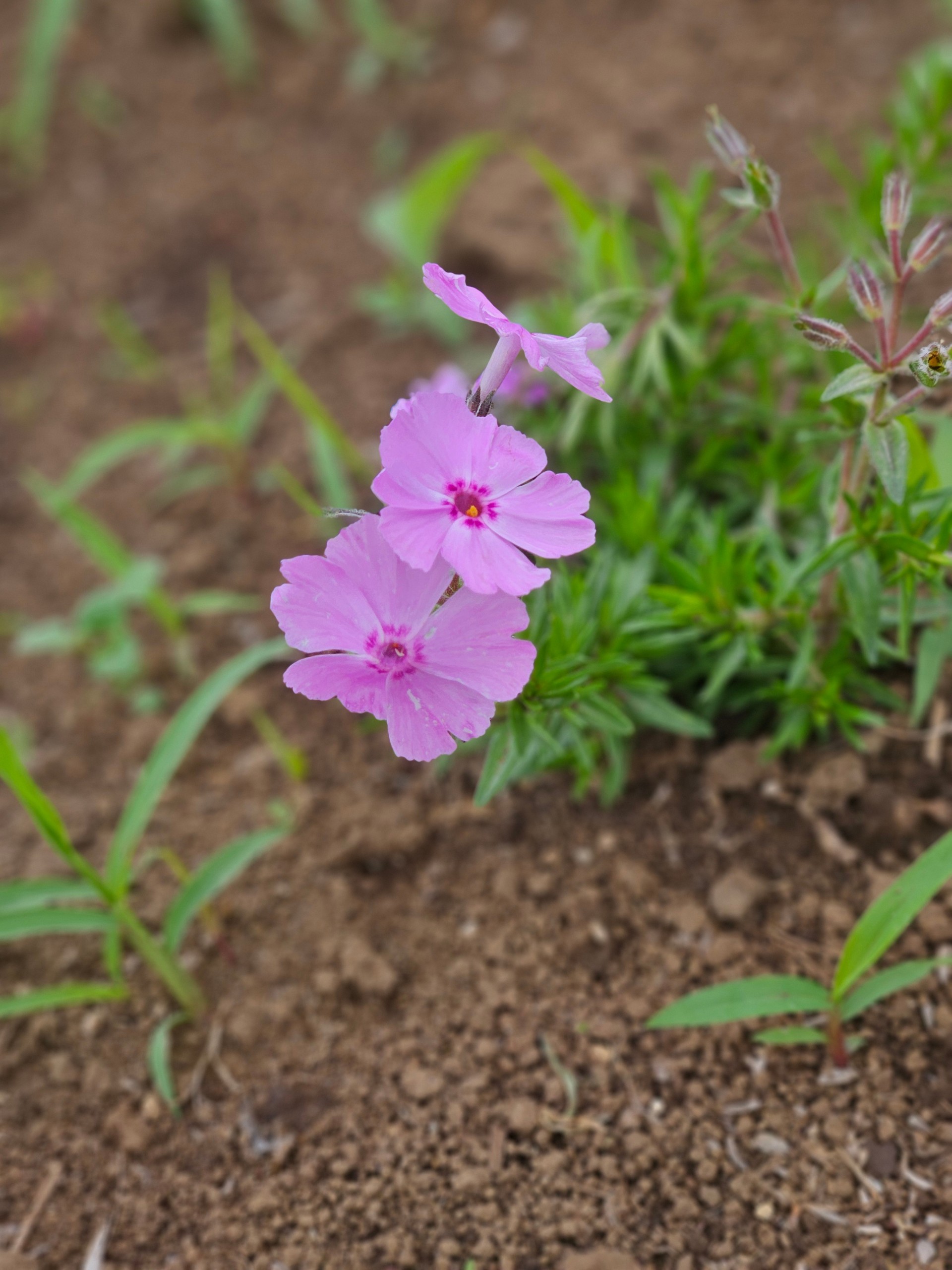 誰でもどうぞ☺