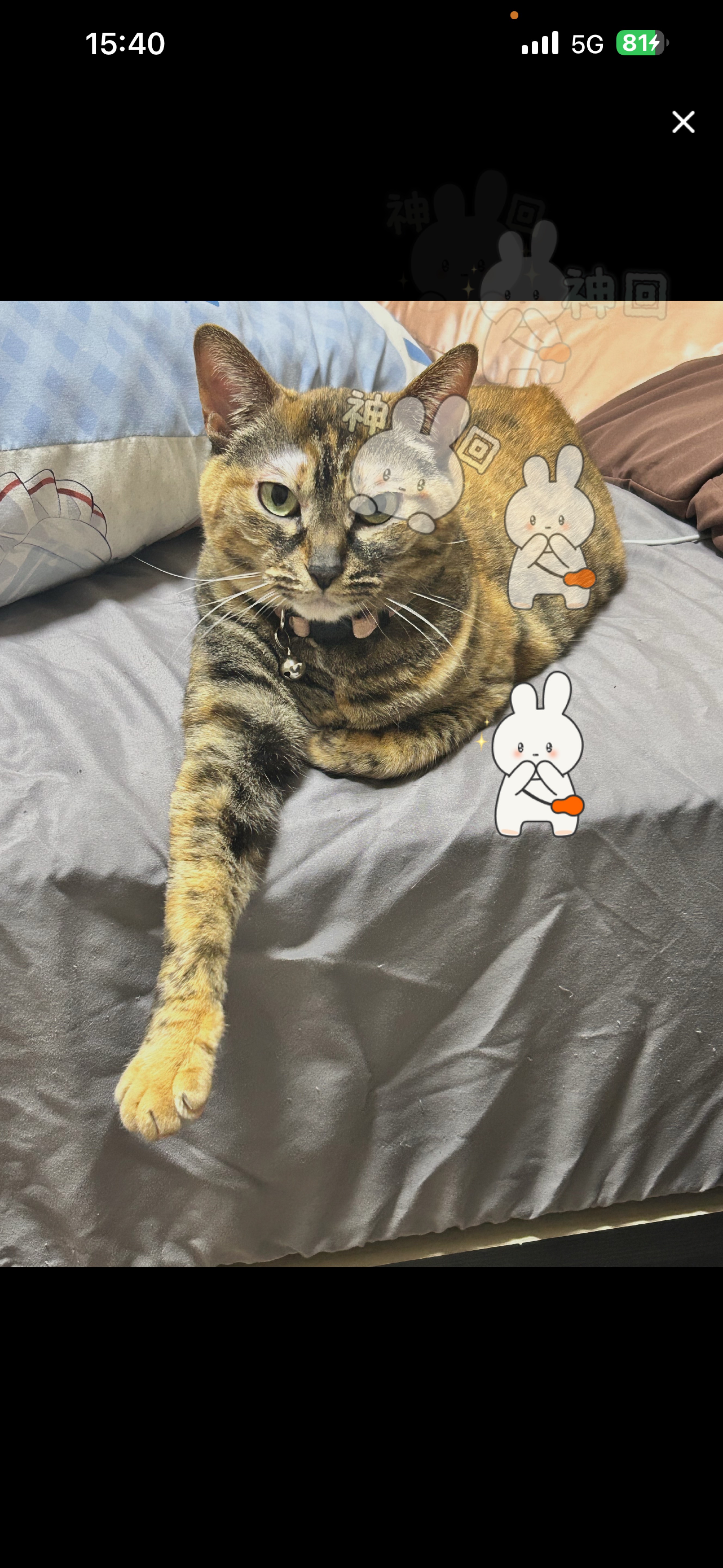 はなそー！めちゃくちゃ寝起き