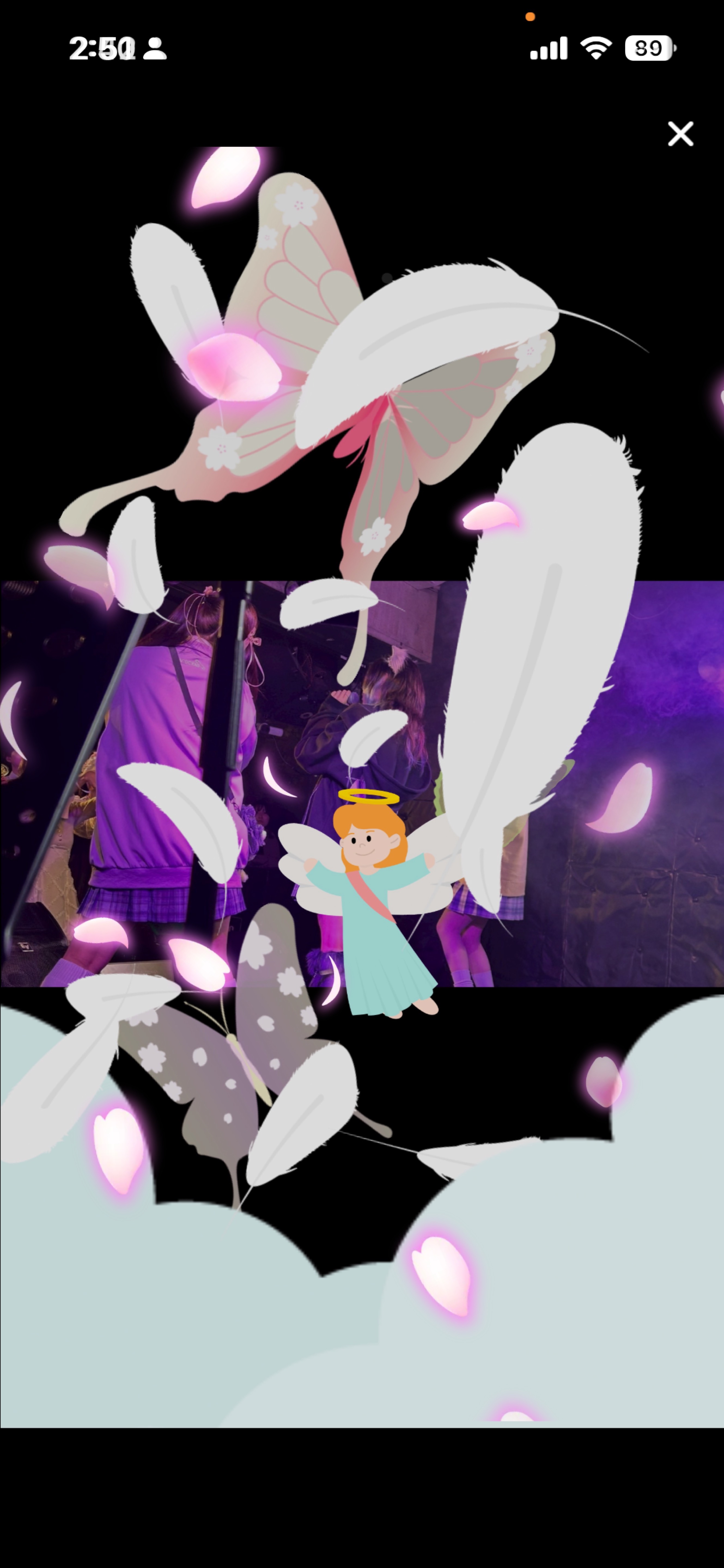 #ステラン 楽しかった！