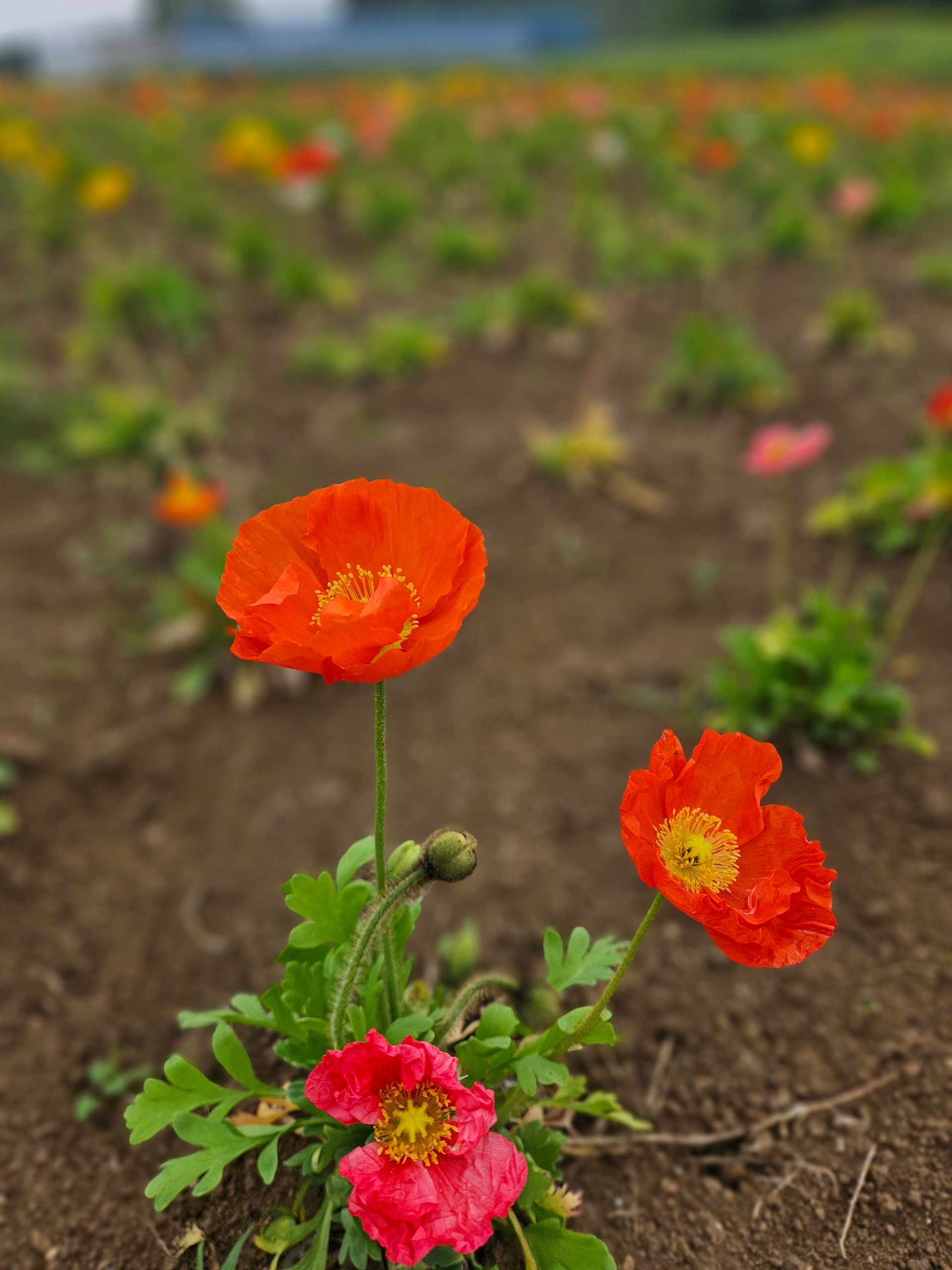 誰でもどうぞ☺