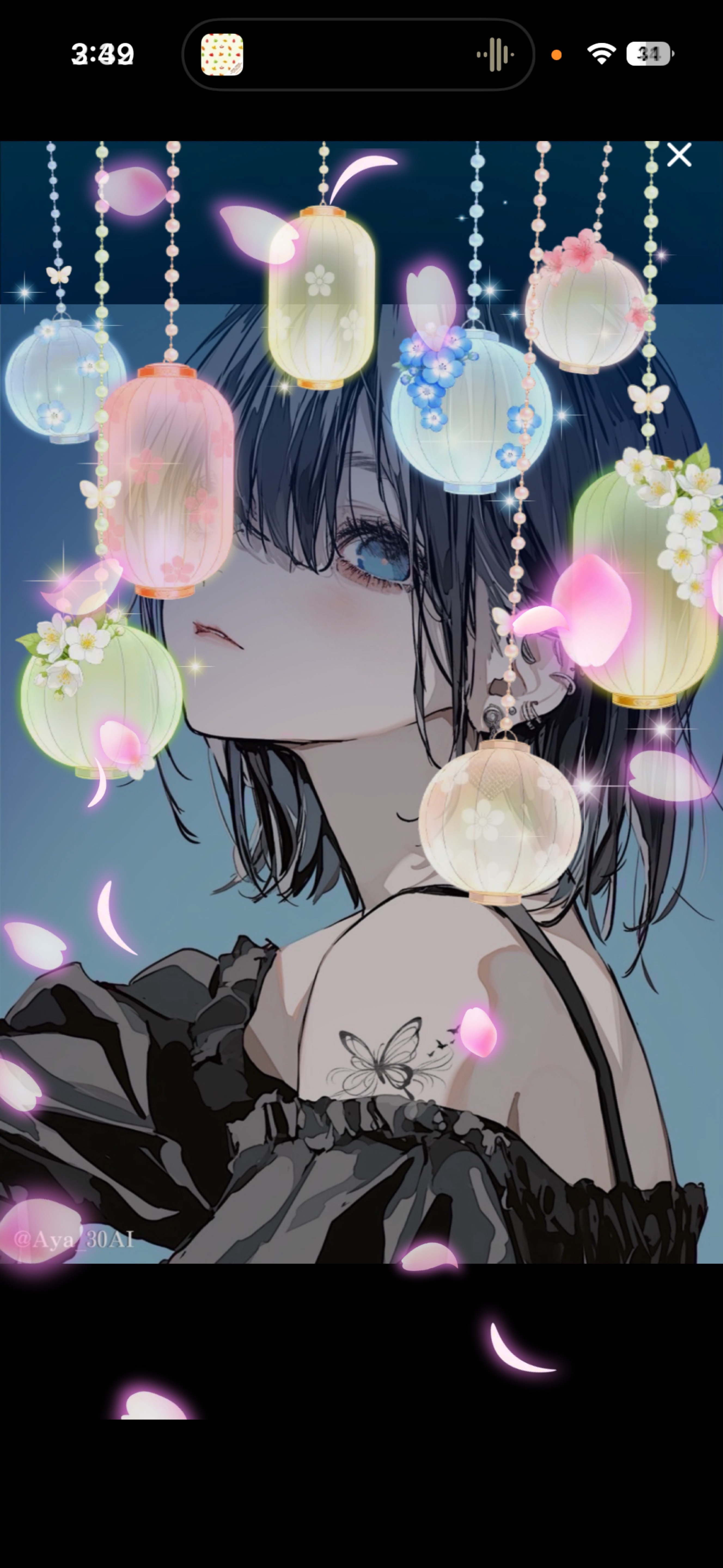 夜のひと笑い ’𖥦' ￤初潜◎