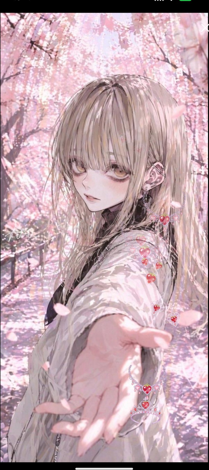 見つけてください𓂃◌‬𓈒𓋪‪