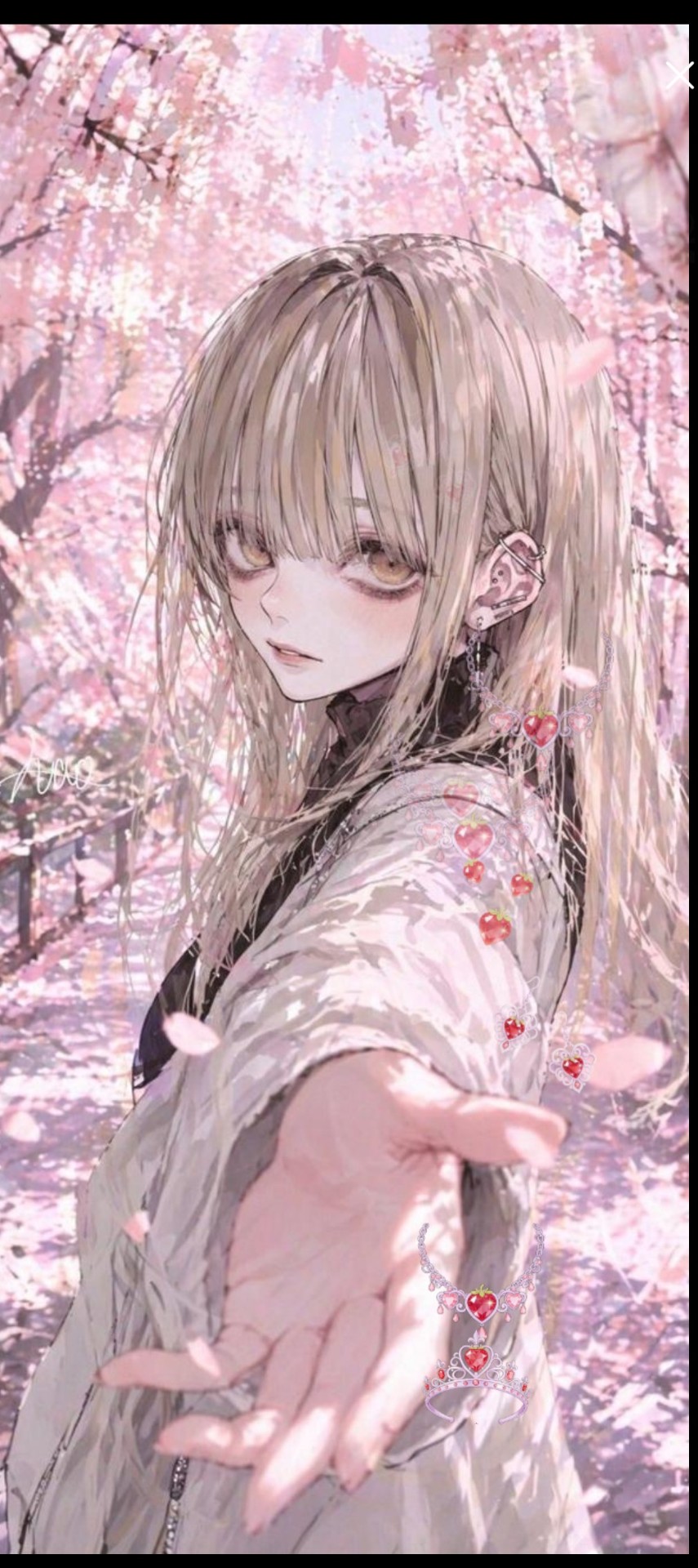 見つけてください𓂃◌‬𓈒𓋪‪