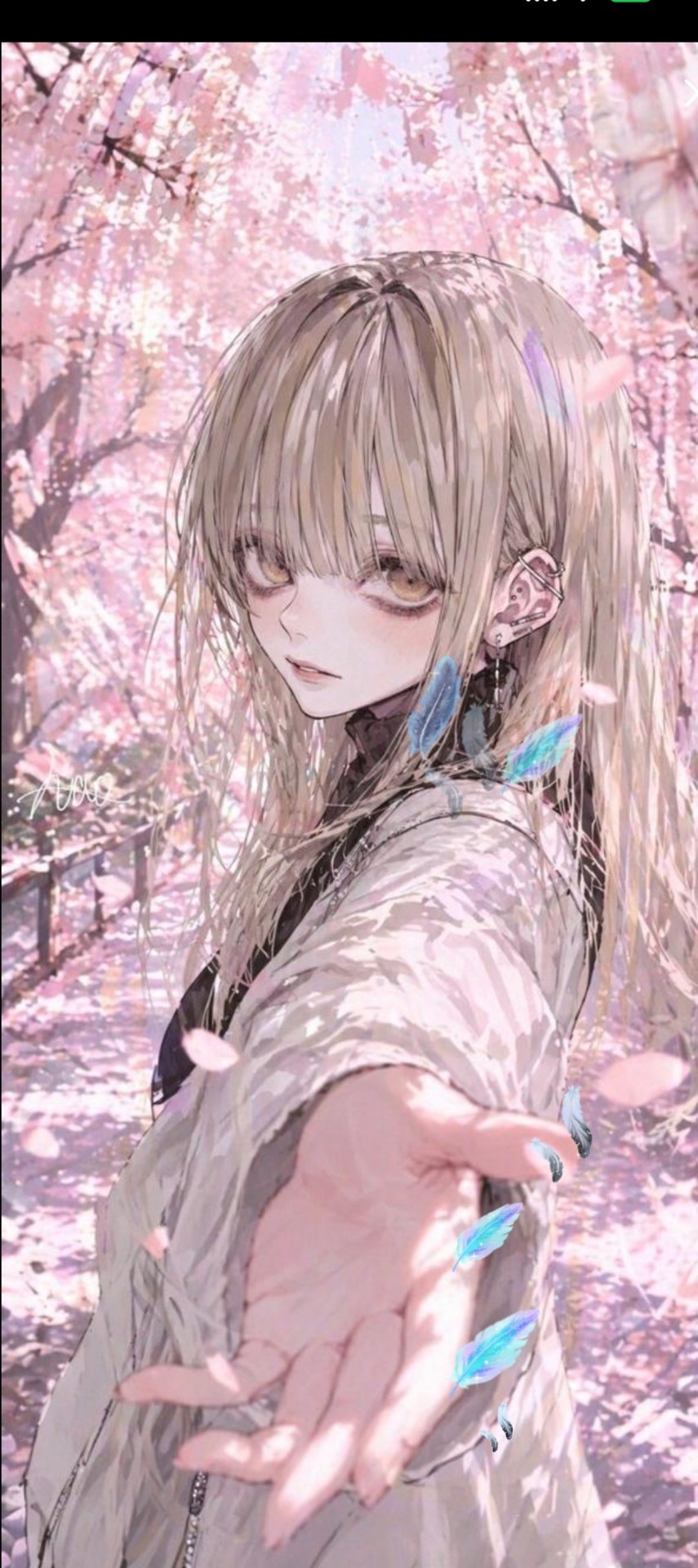 見つけてください𓂃◌‬𓈒𓋪‪