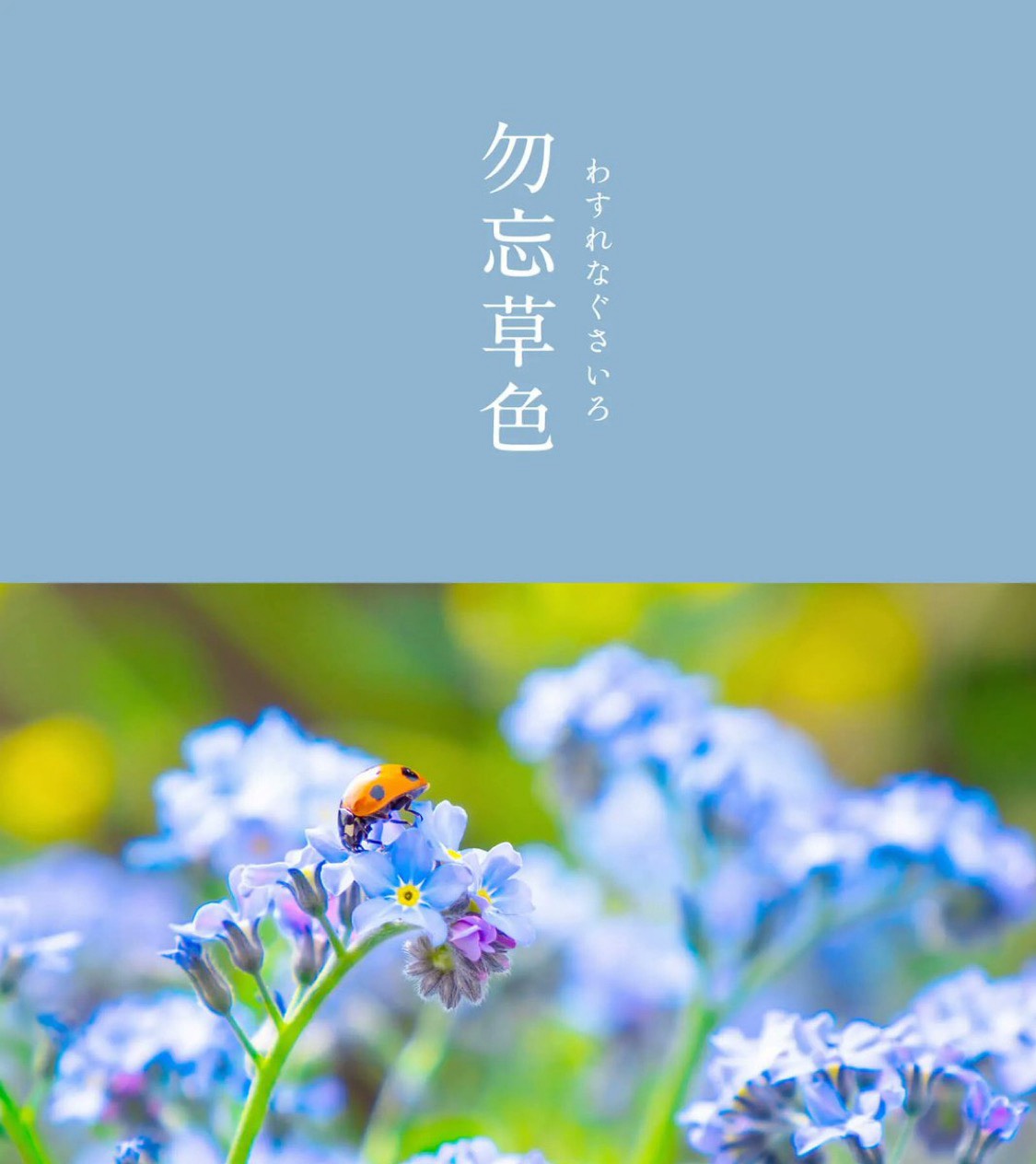 寝落ち枠（主が寝る）