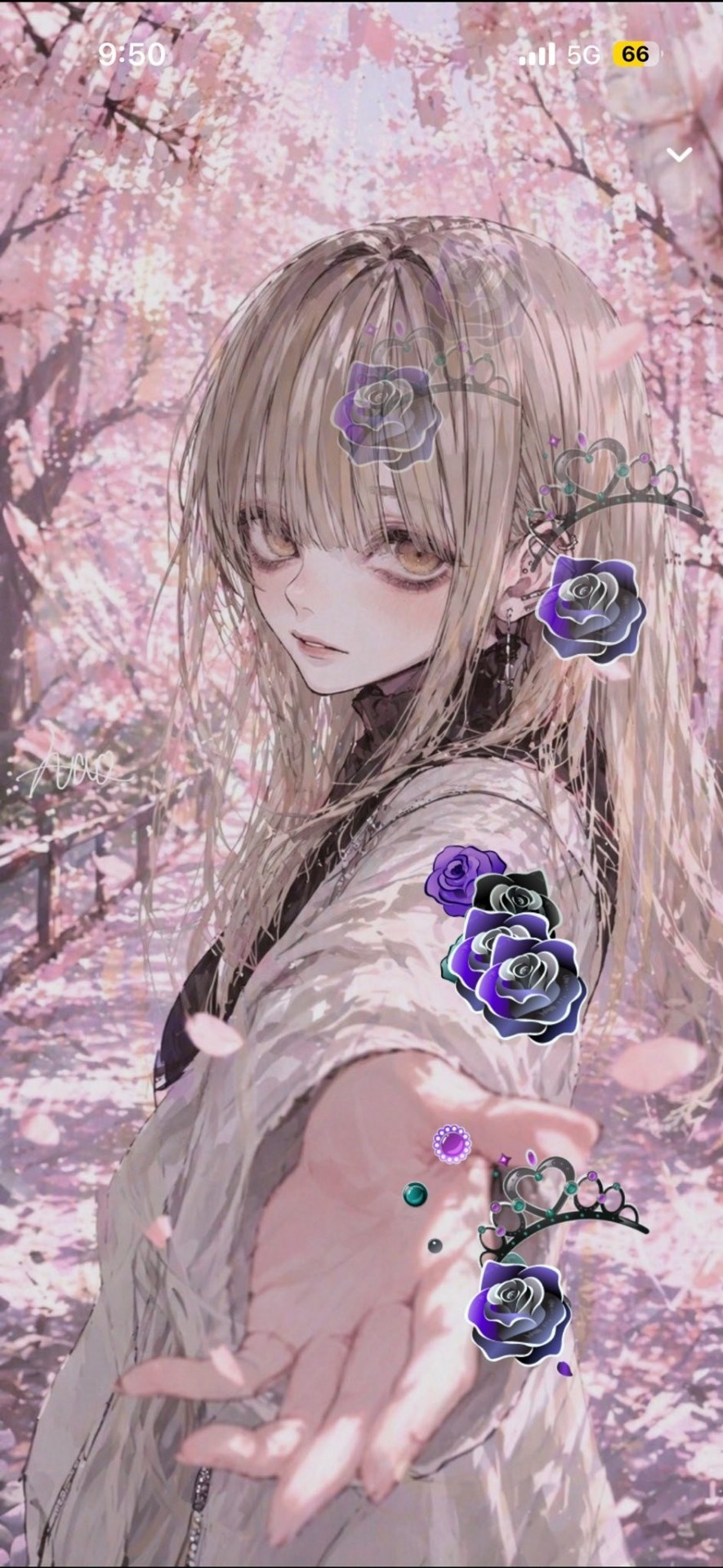 見つけてください𓂃◌‬𓈒𓋪‪