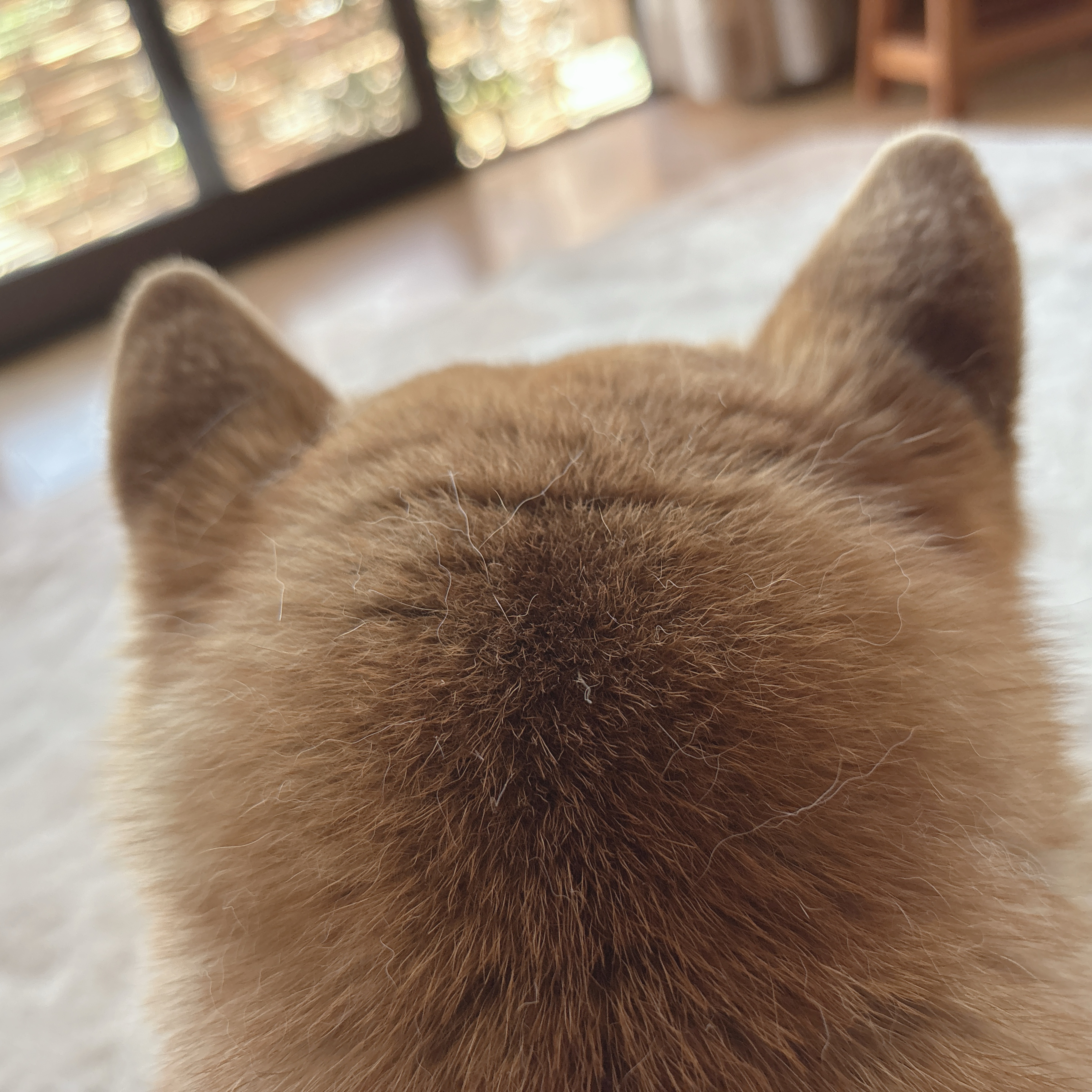 初潜◎こんにちは❕