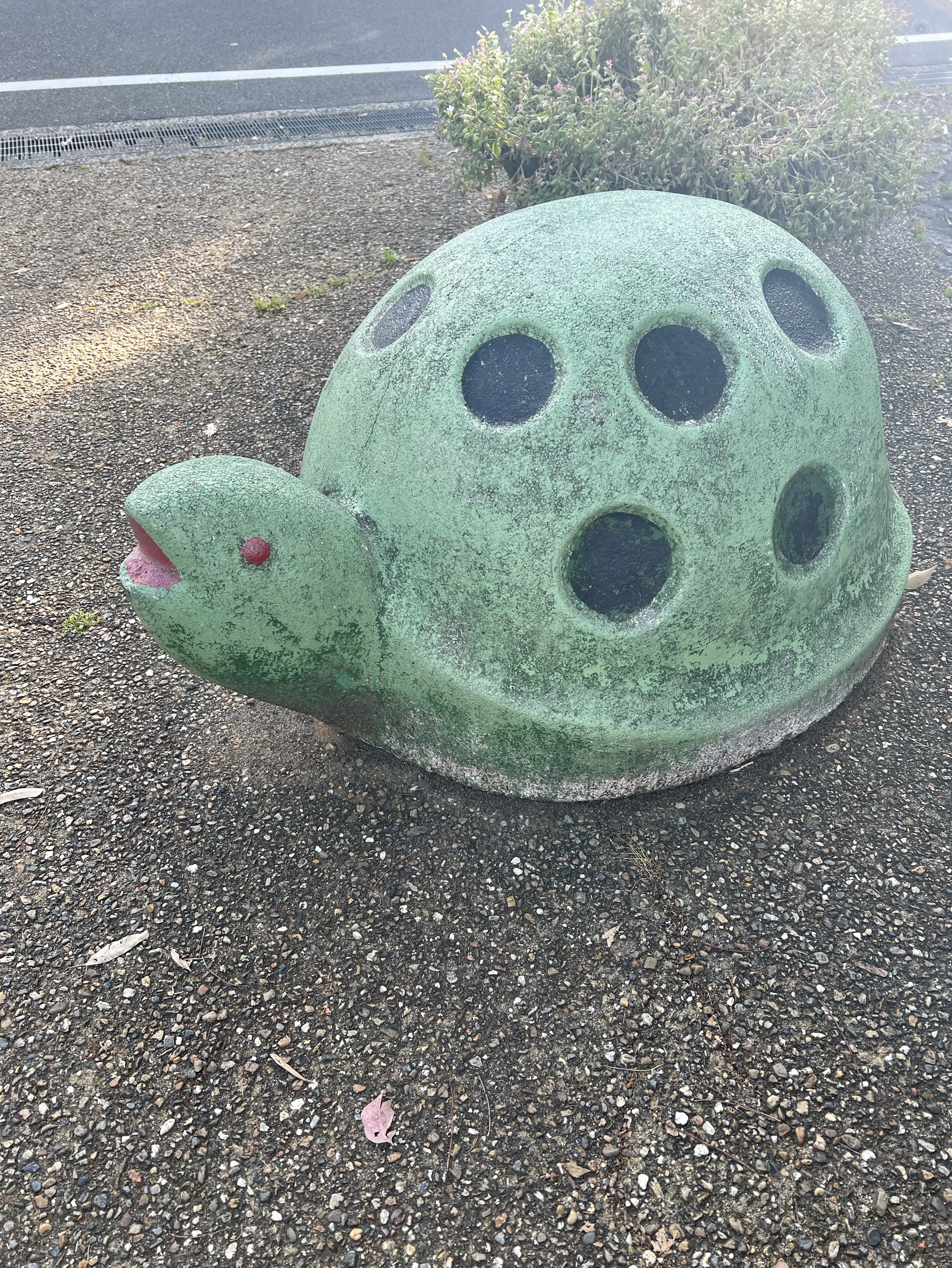 ゆるゆる本を読みます🐢