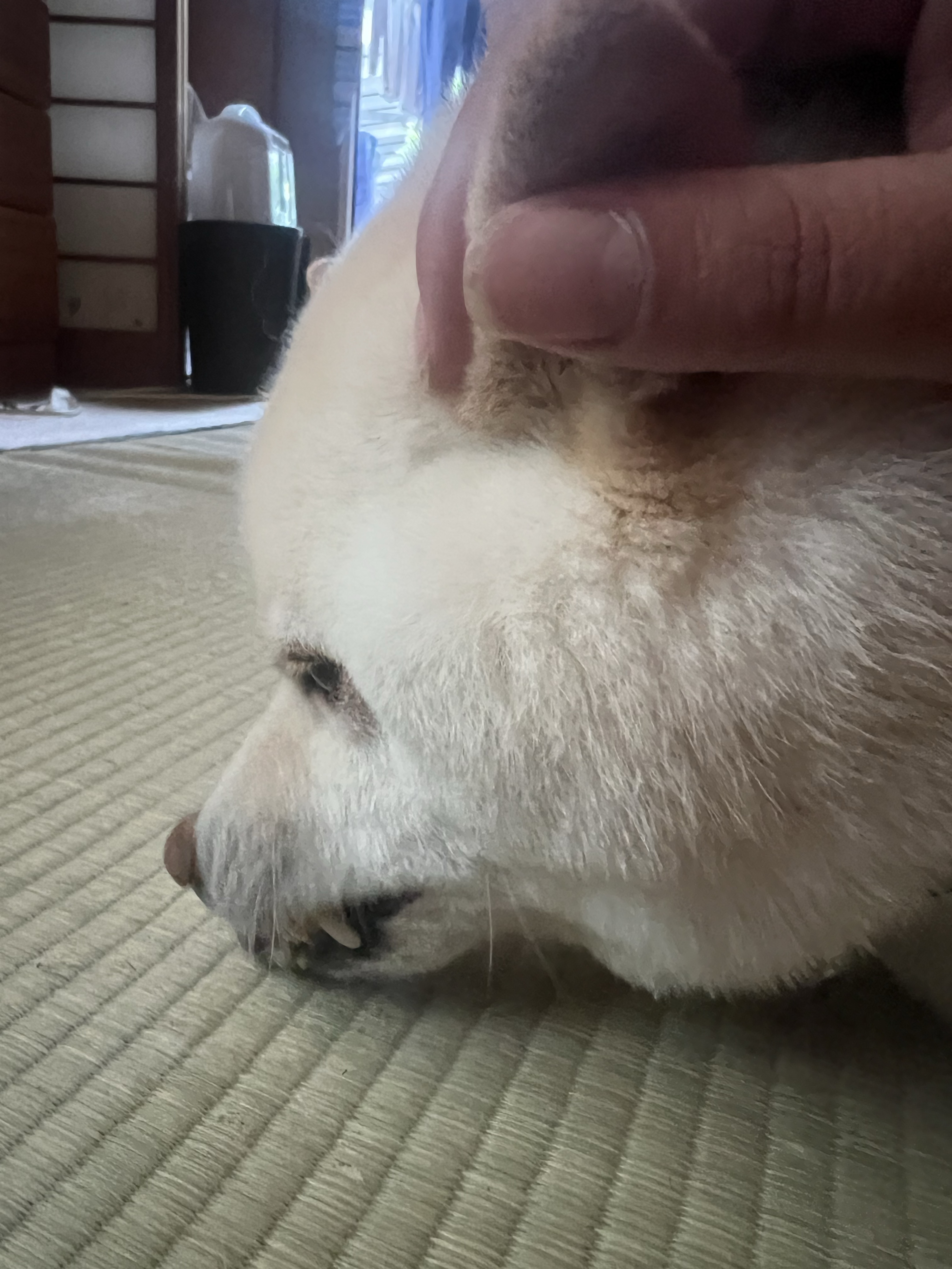 タバコ休憩