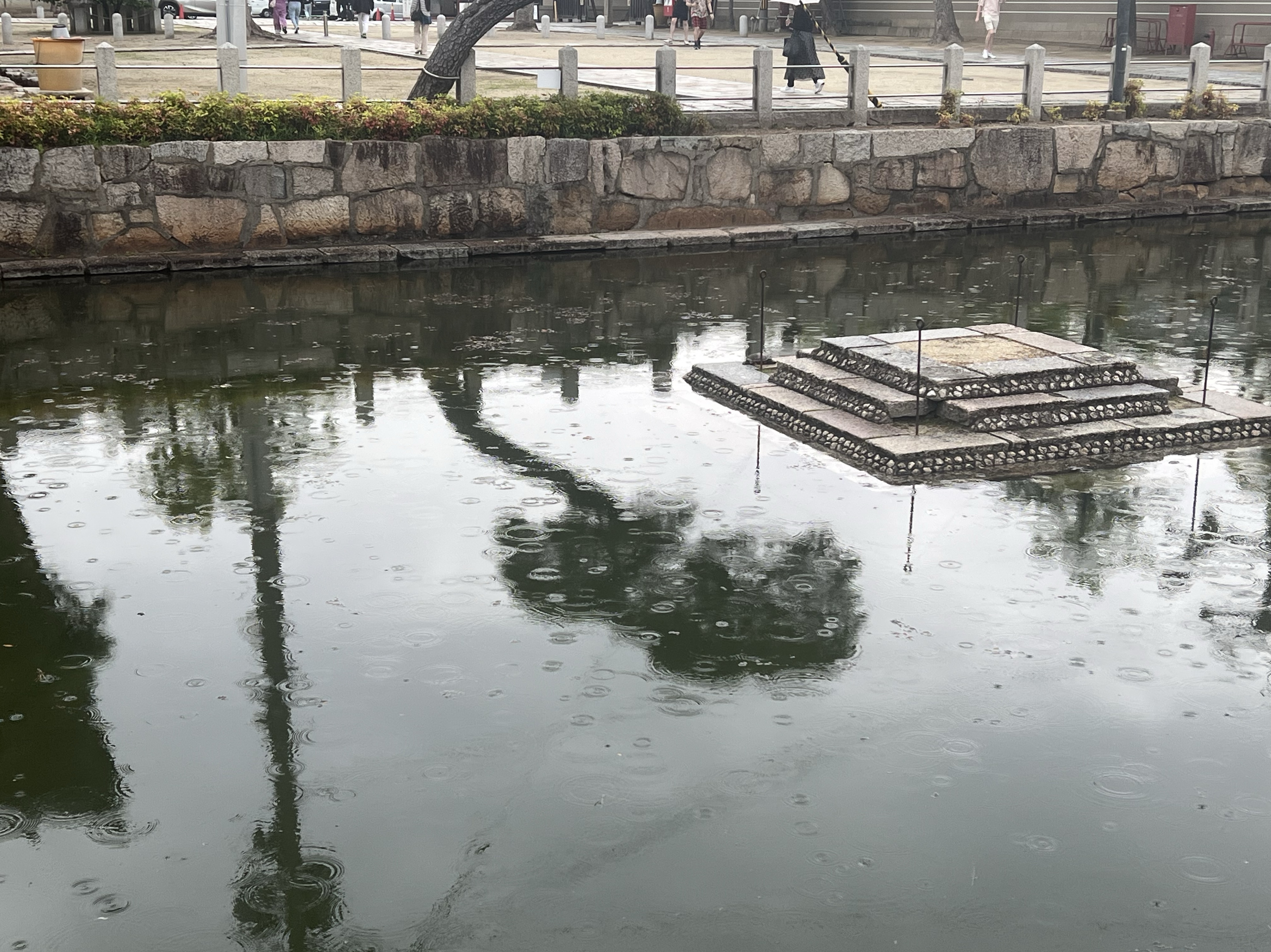 ゆるゆる本を読みます🐢
