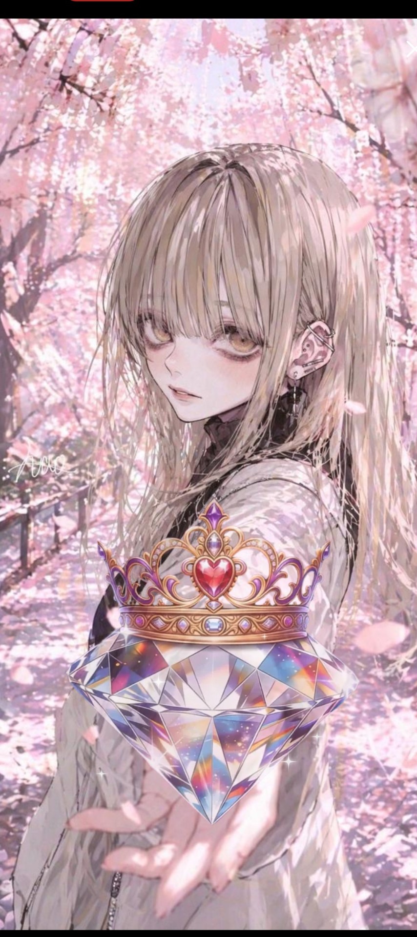 見つけてください𓂃◌‬𓈒𓋪‪