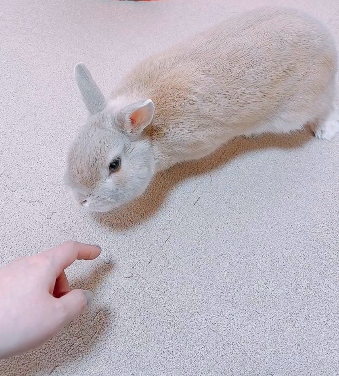 初潜💋アナタの癒場所🌙*
