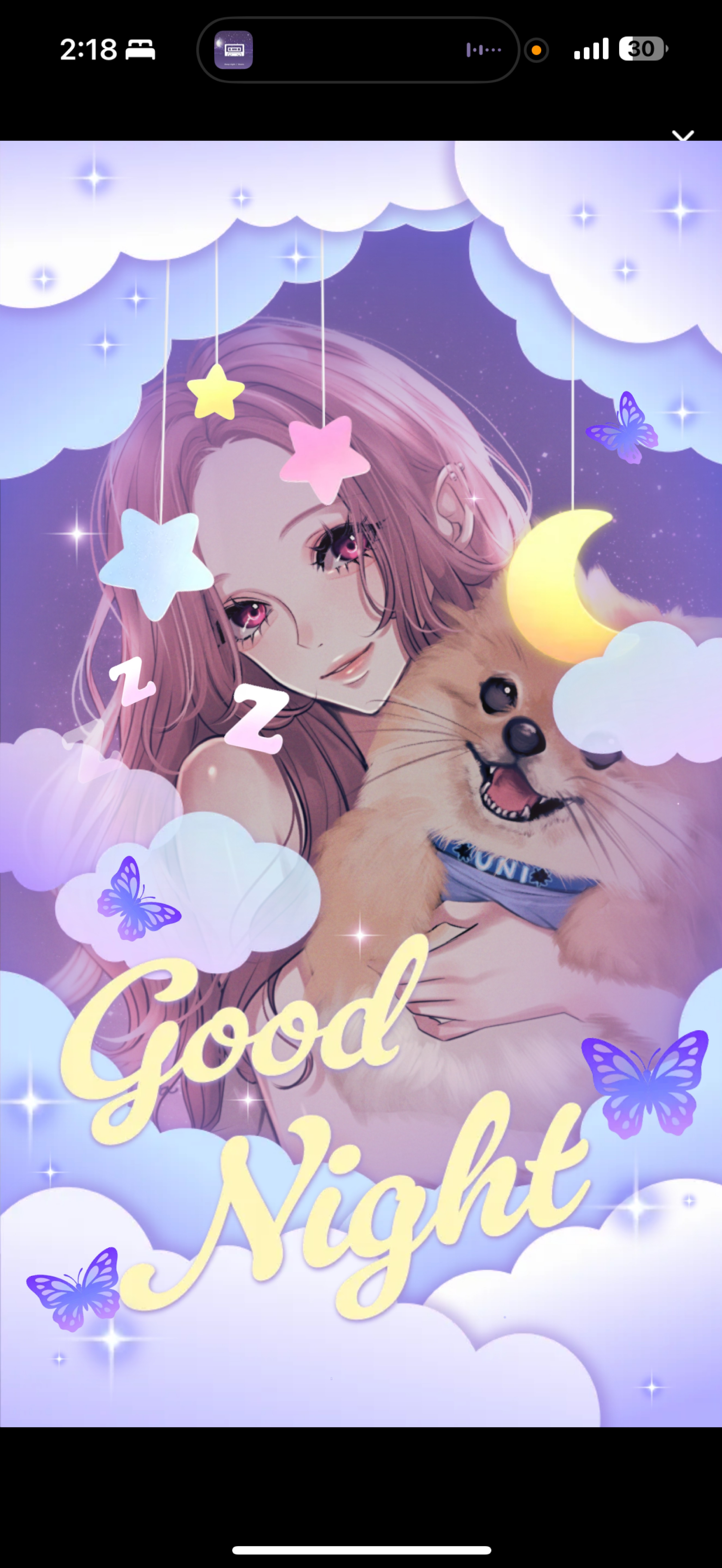 -2:30￤おやすみの前に🌙