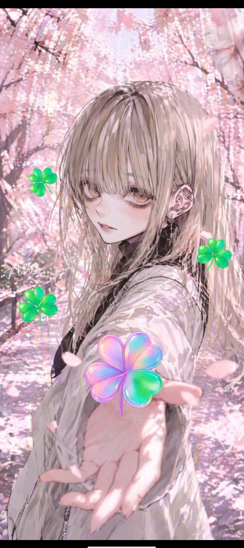 見つけてください𓂃◌‬𓈒𓋪‪