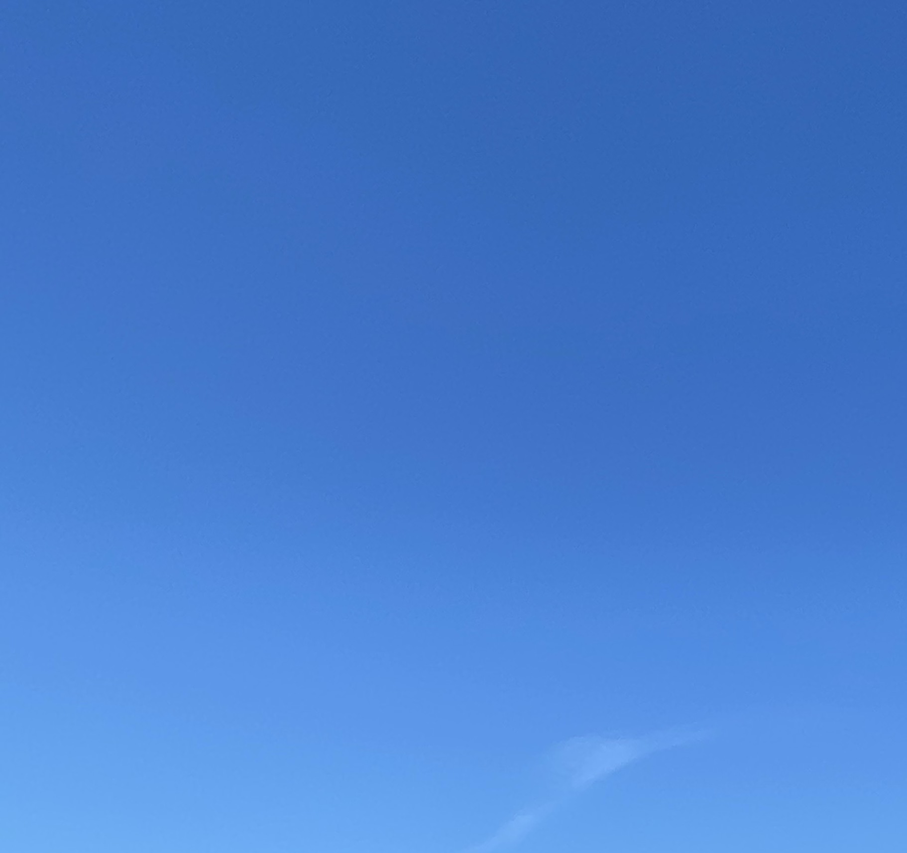 おはなし