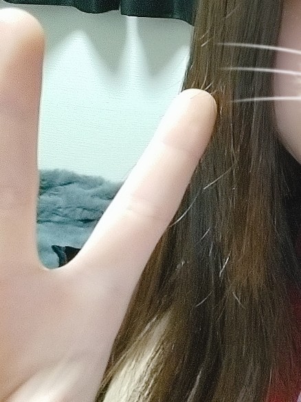 寝落ち枠