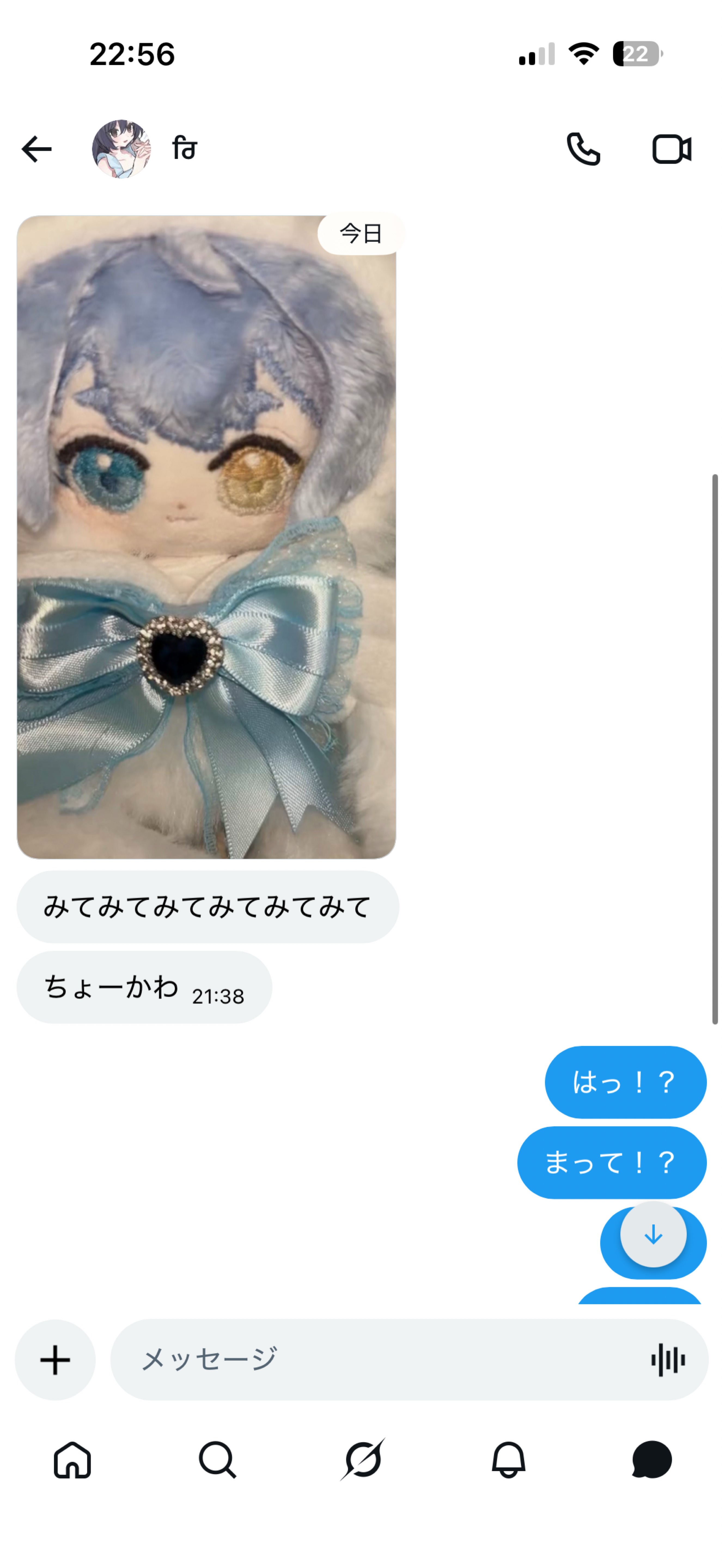 こんばんワニ🐊