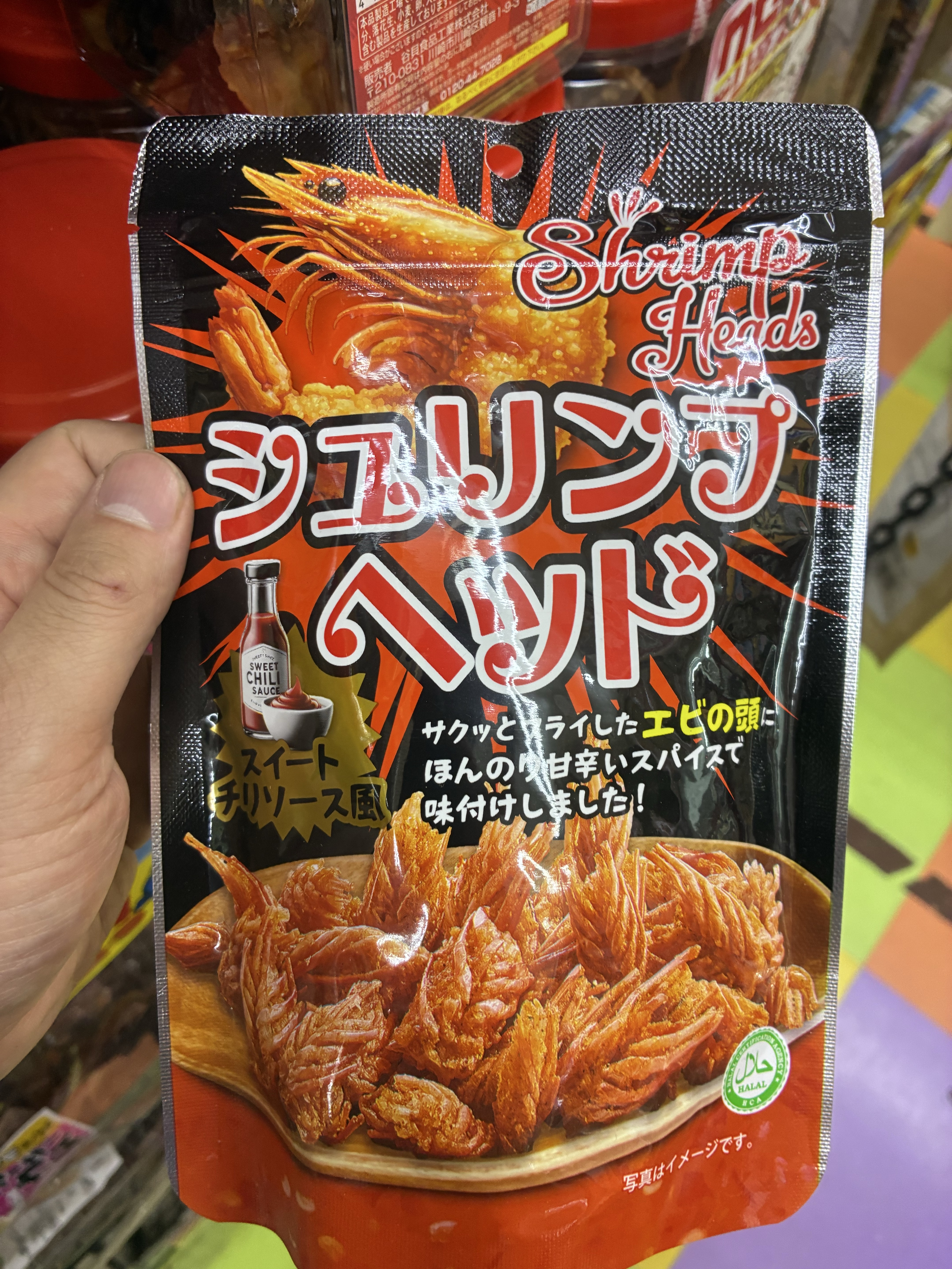 外配信！(歩いてないよ