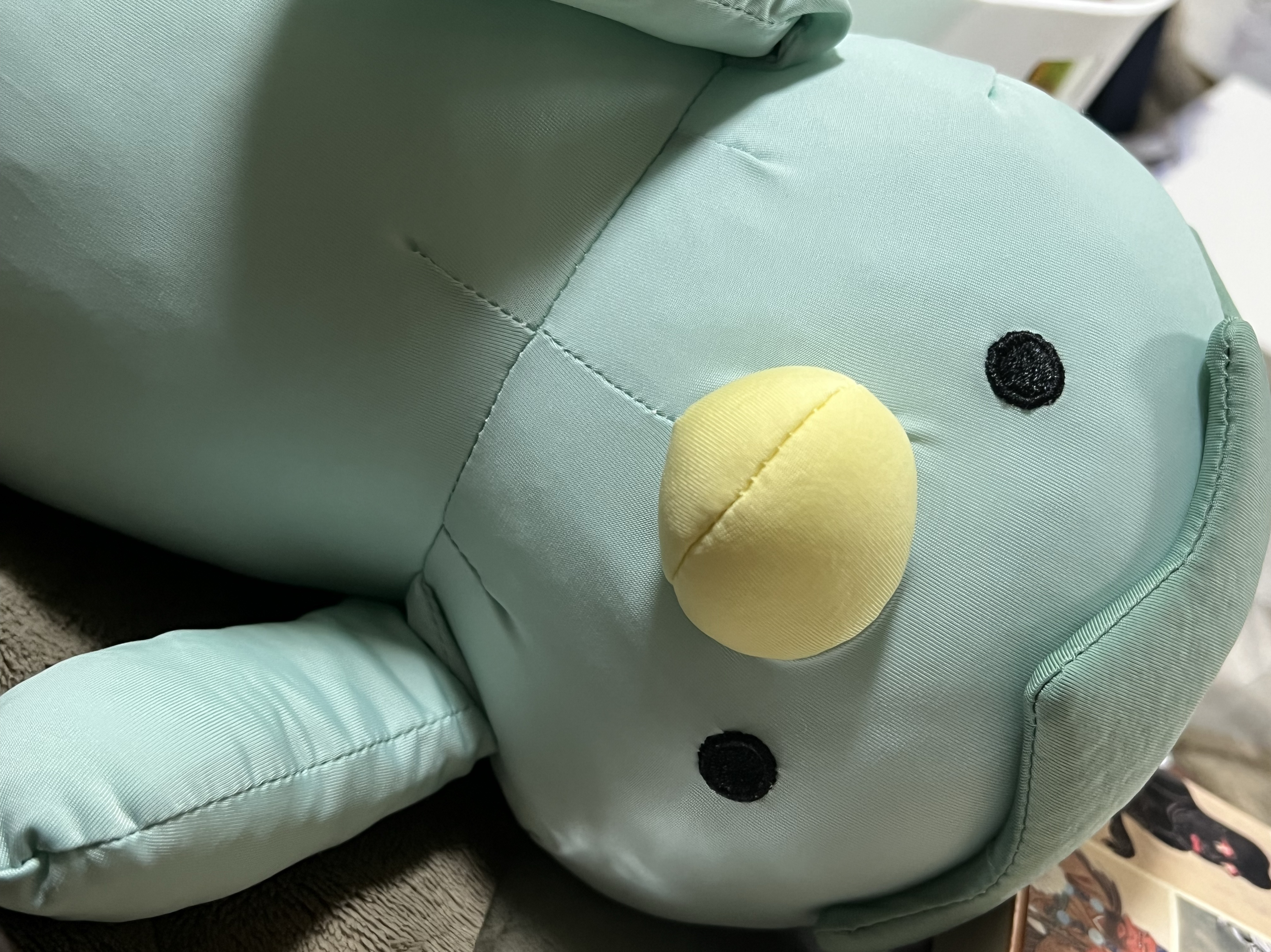 ごろごろ本読み枠🛌🥒
