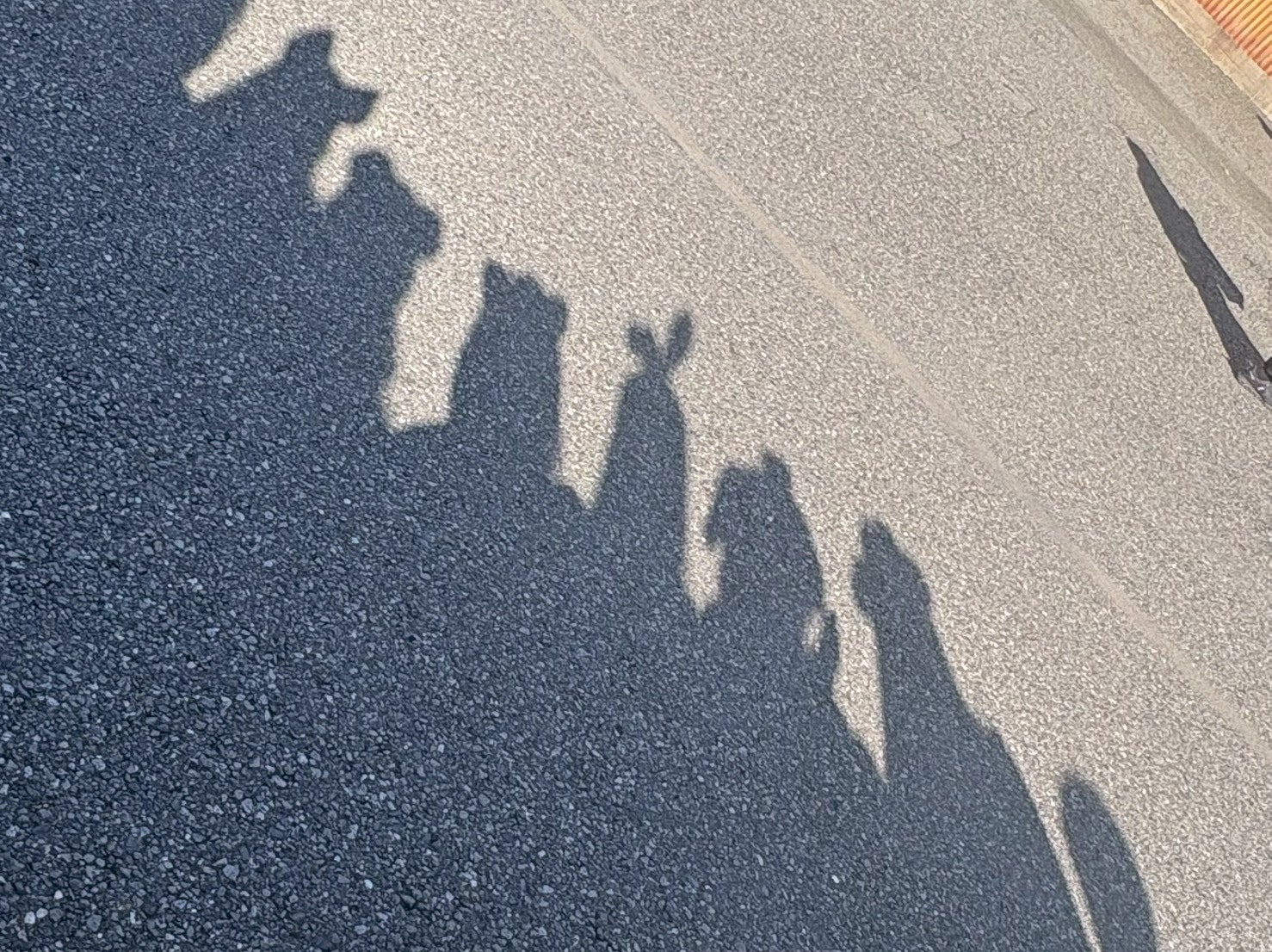 初潜〇お話しましょ