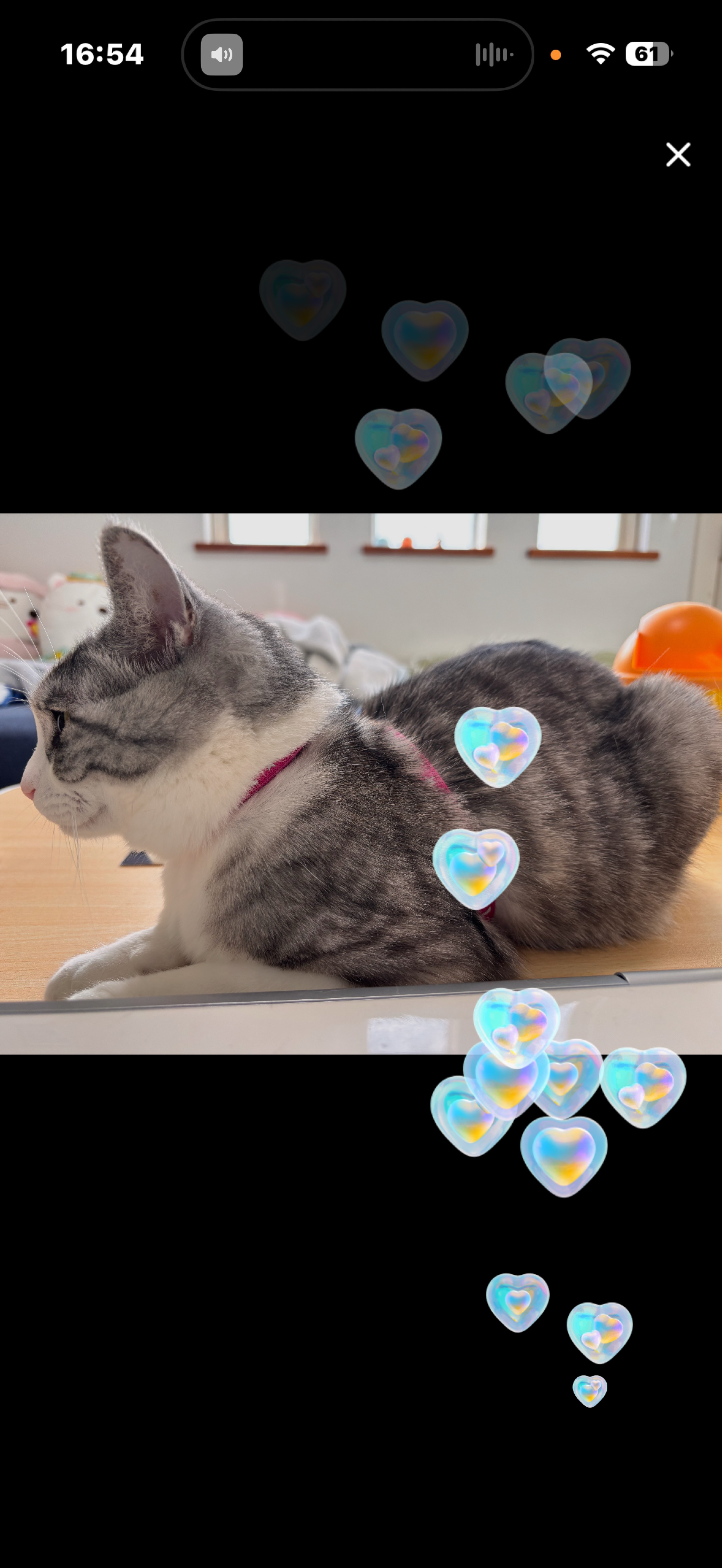 初配信用機材でやってみる！