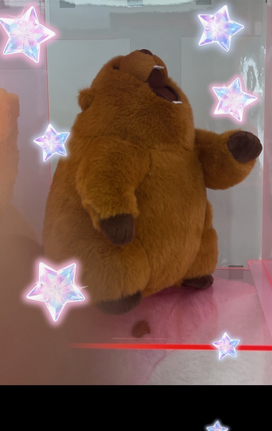 𝑬𝒗𝒐𝒍𝒖𝒕𝒊𝒐𝒏