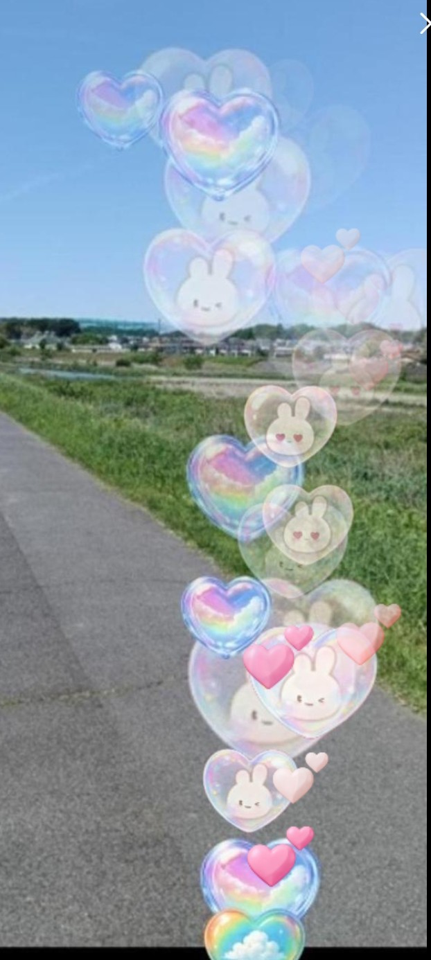 おはようですん☀️.°‬