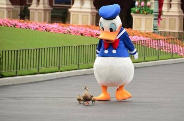 ドMの人の話聞きたい