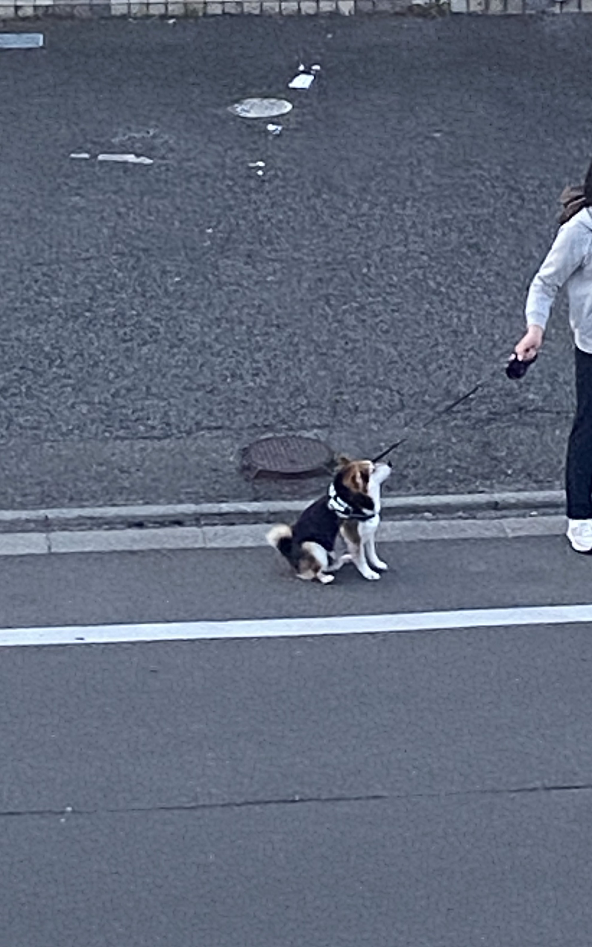 【あと13分】遅刻遅刻♪おっはー❣️