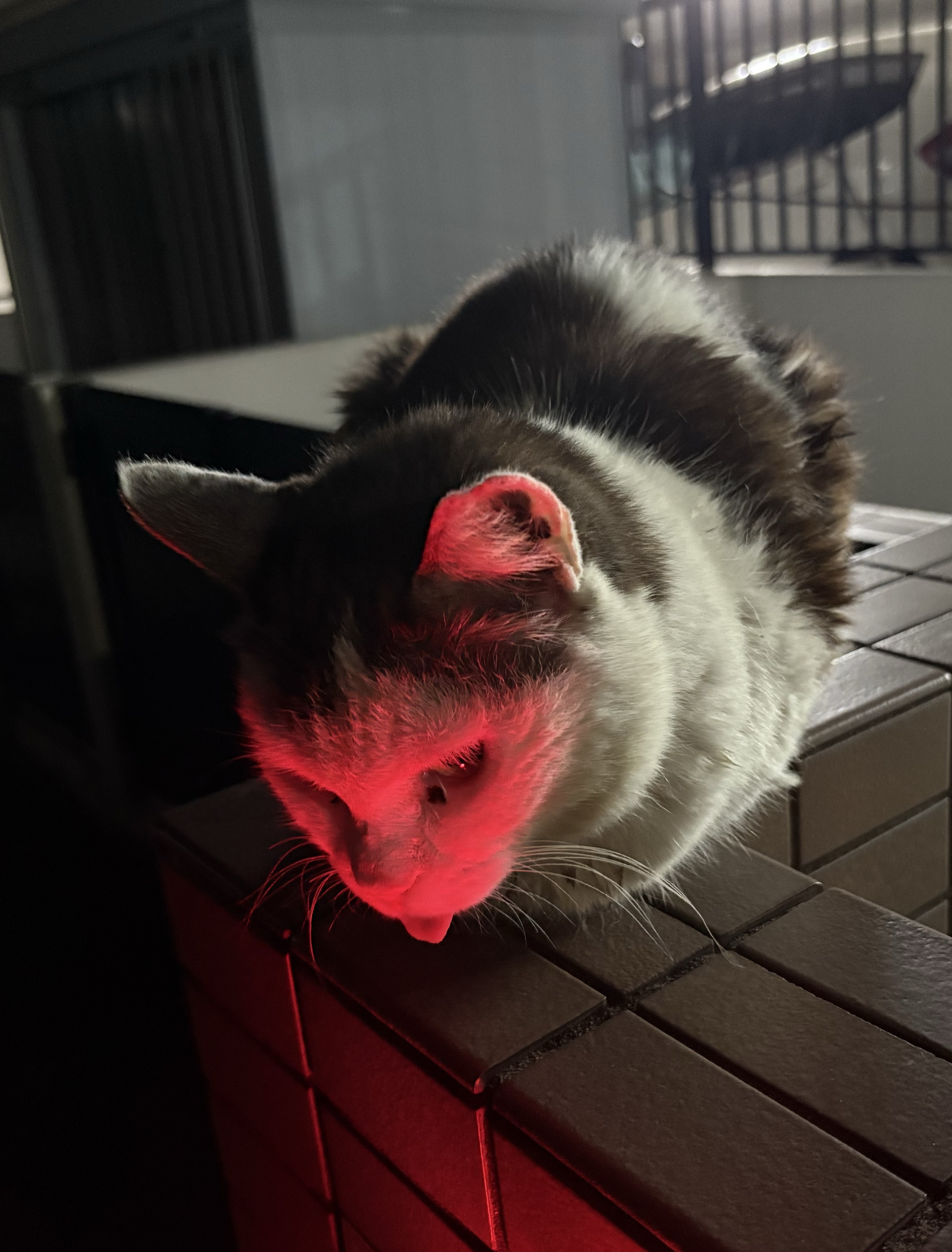 初寝潜◎ ここがあなたの眠る場所