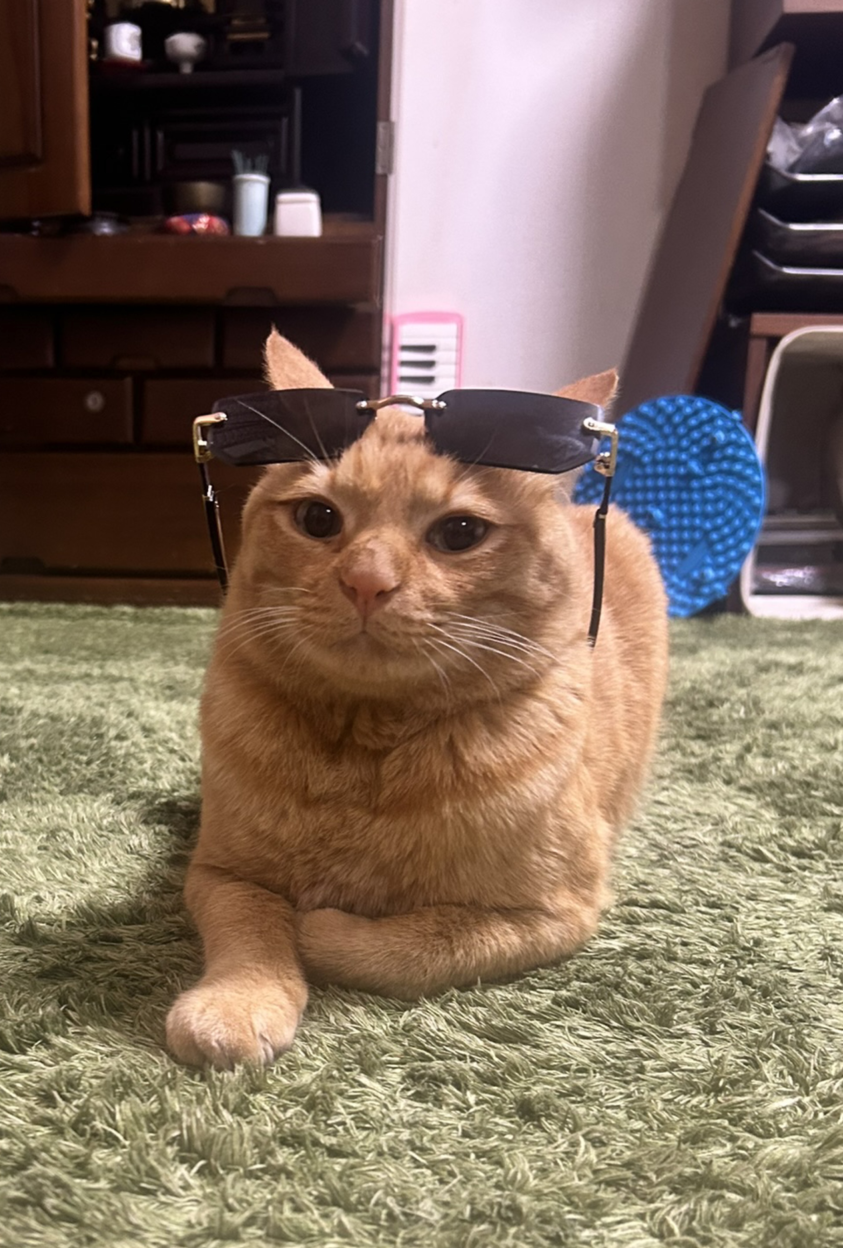 暇です
