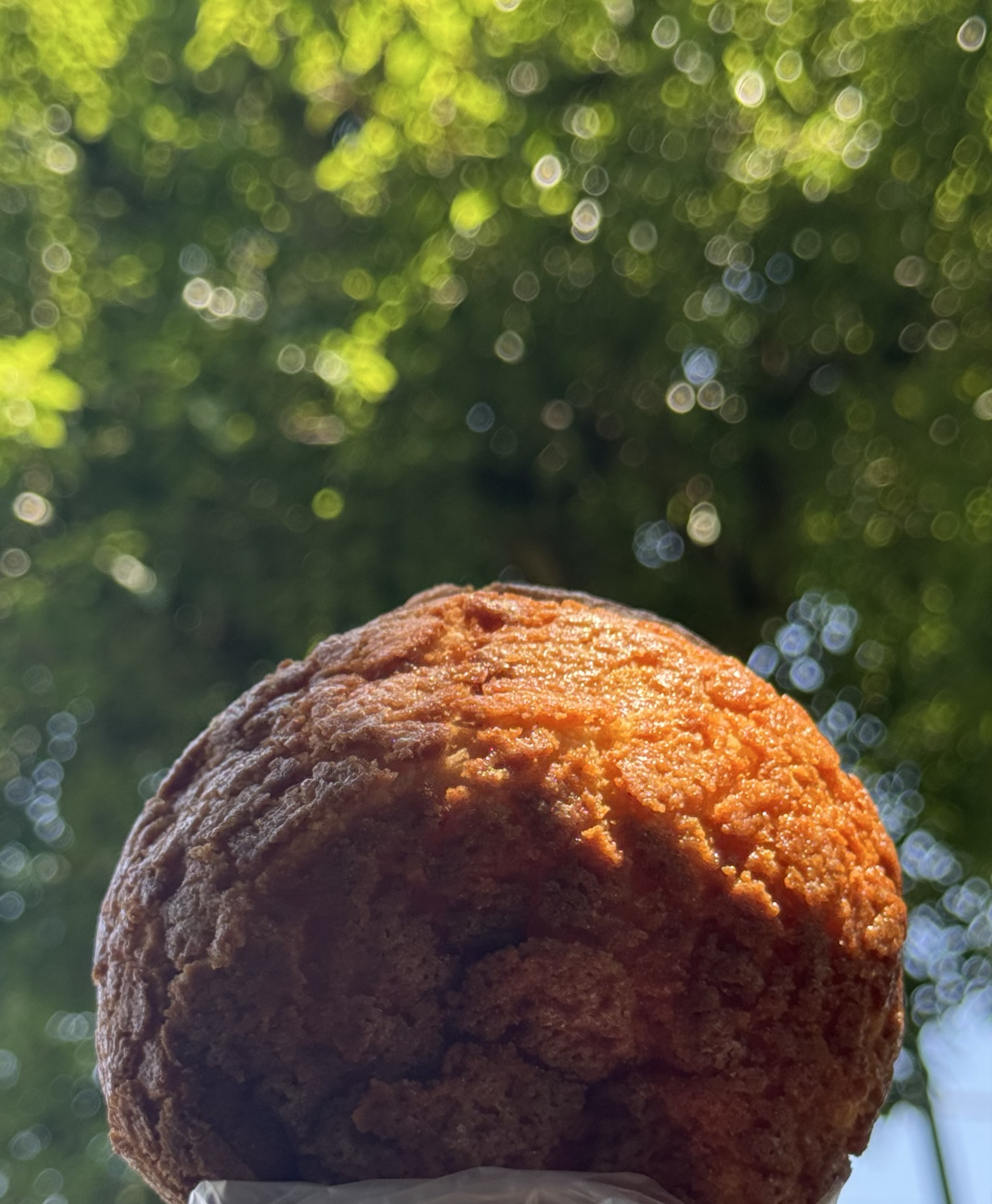 ❮ でら低音 ❯森の中でランチ🥖潜◎