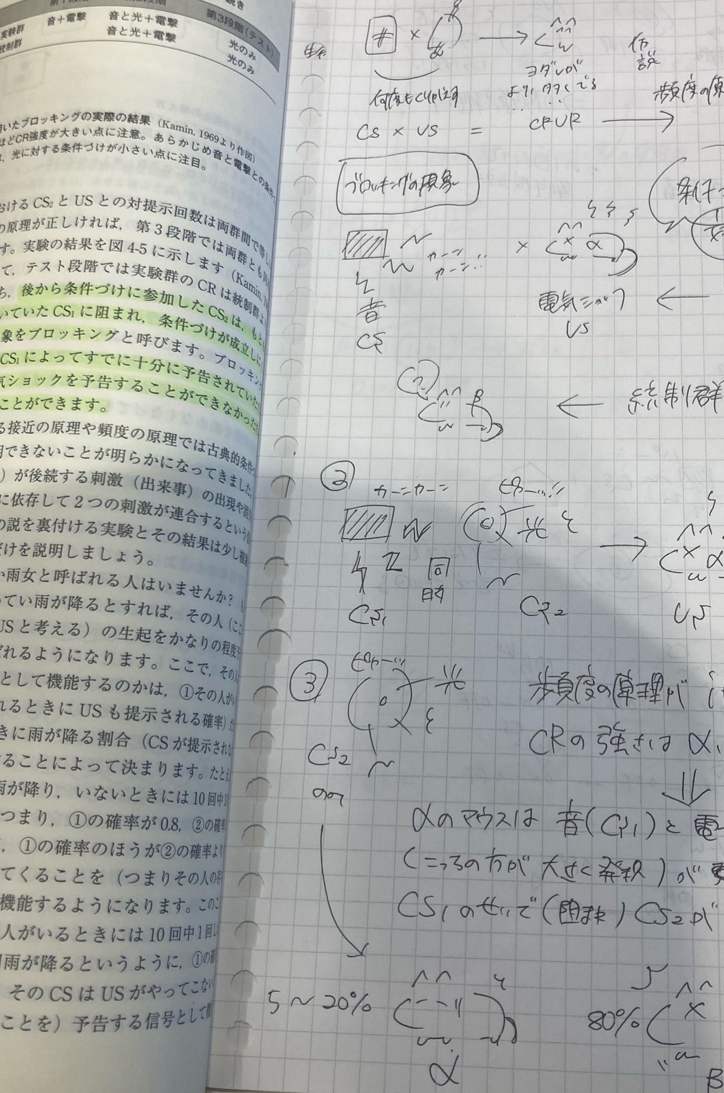 心理　べんきょう
