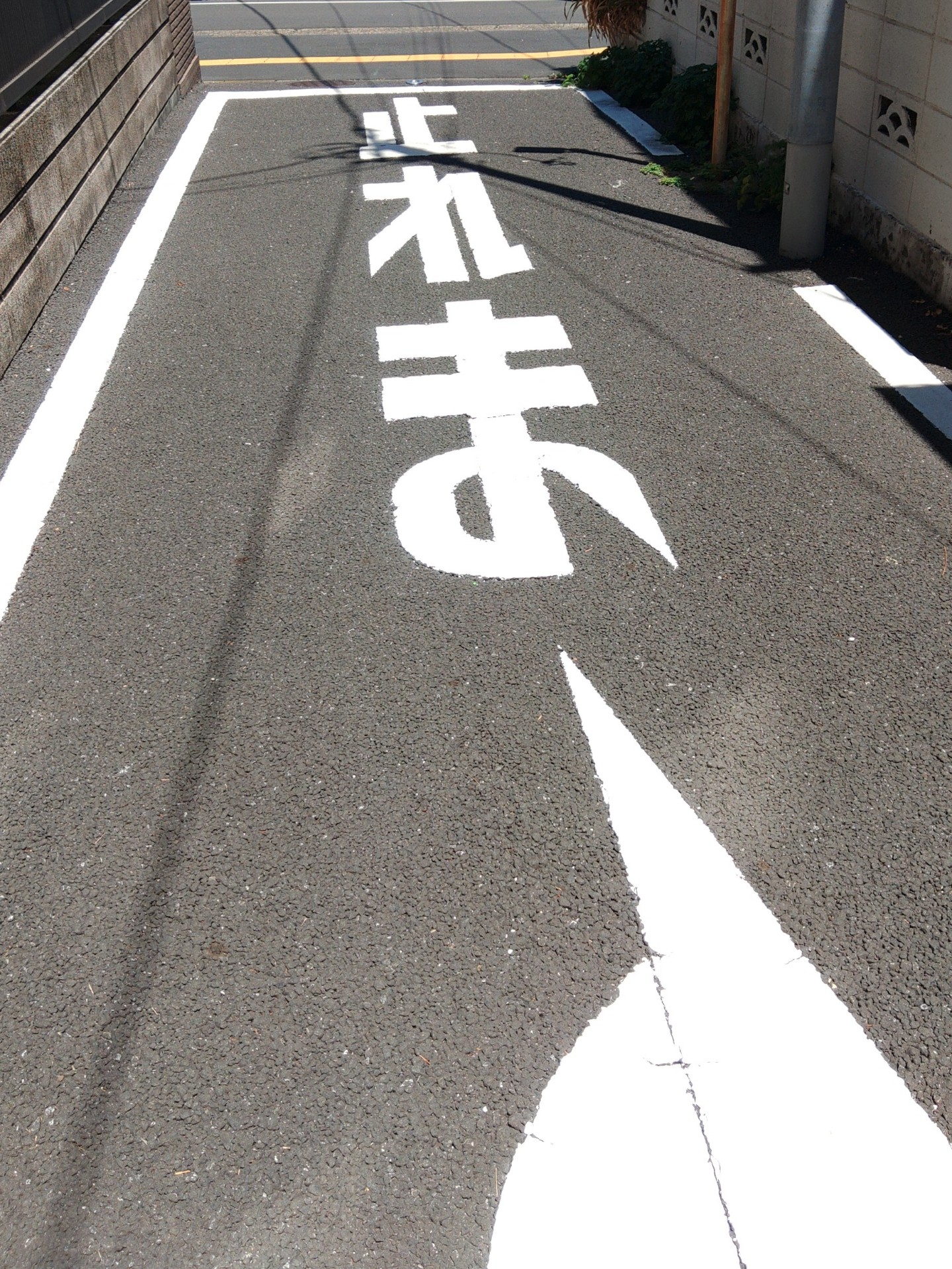 俺が寝落ちる枠