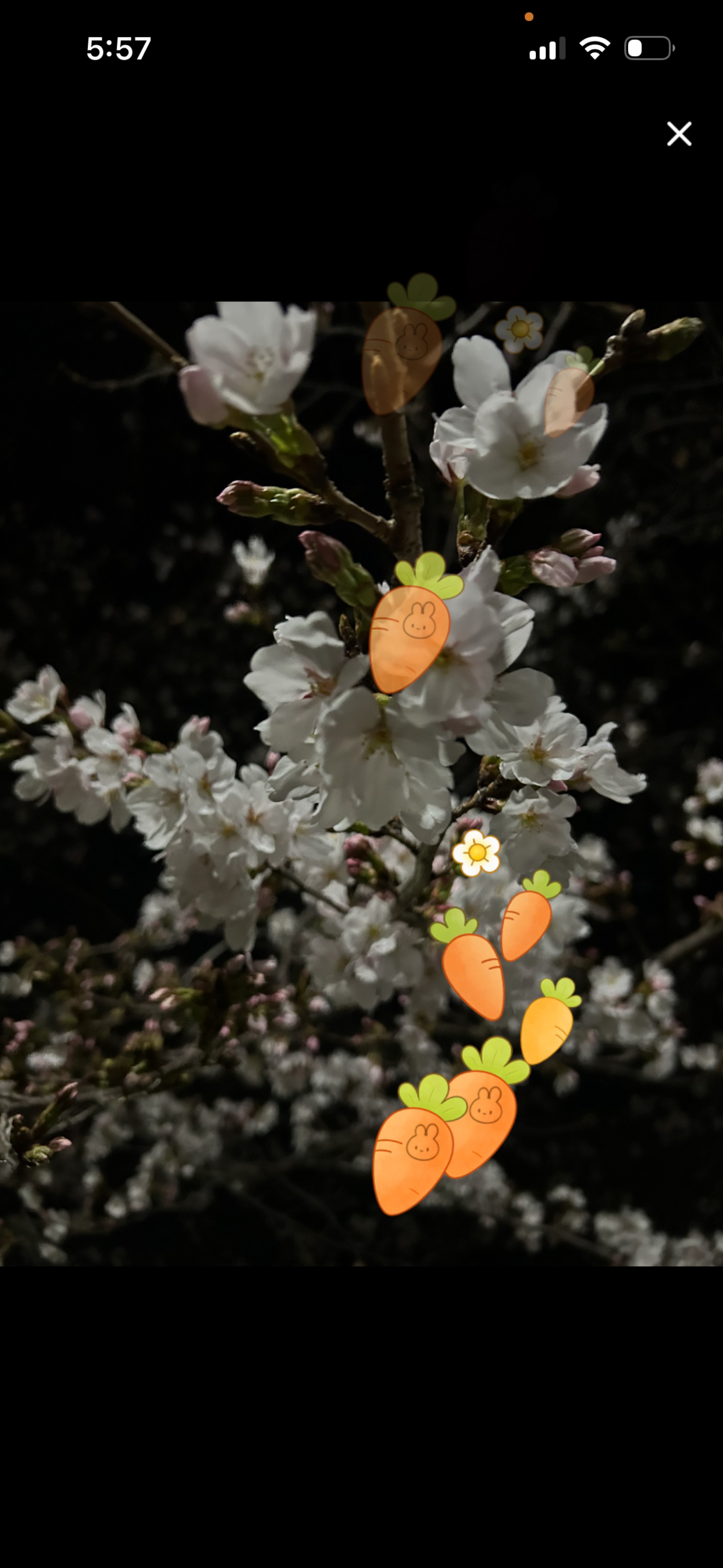 こんばん話し