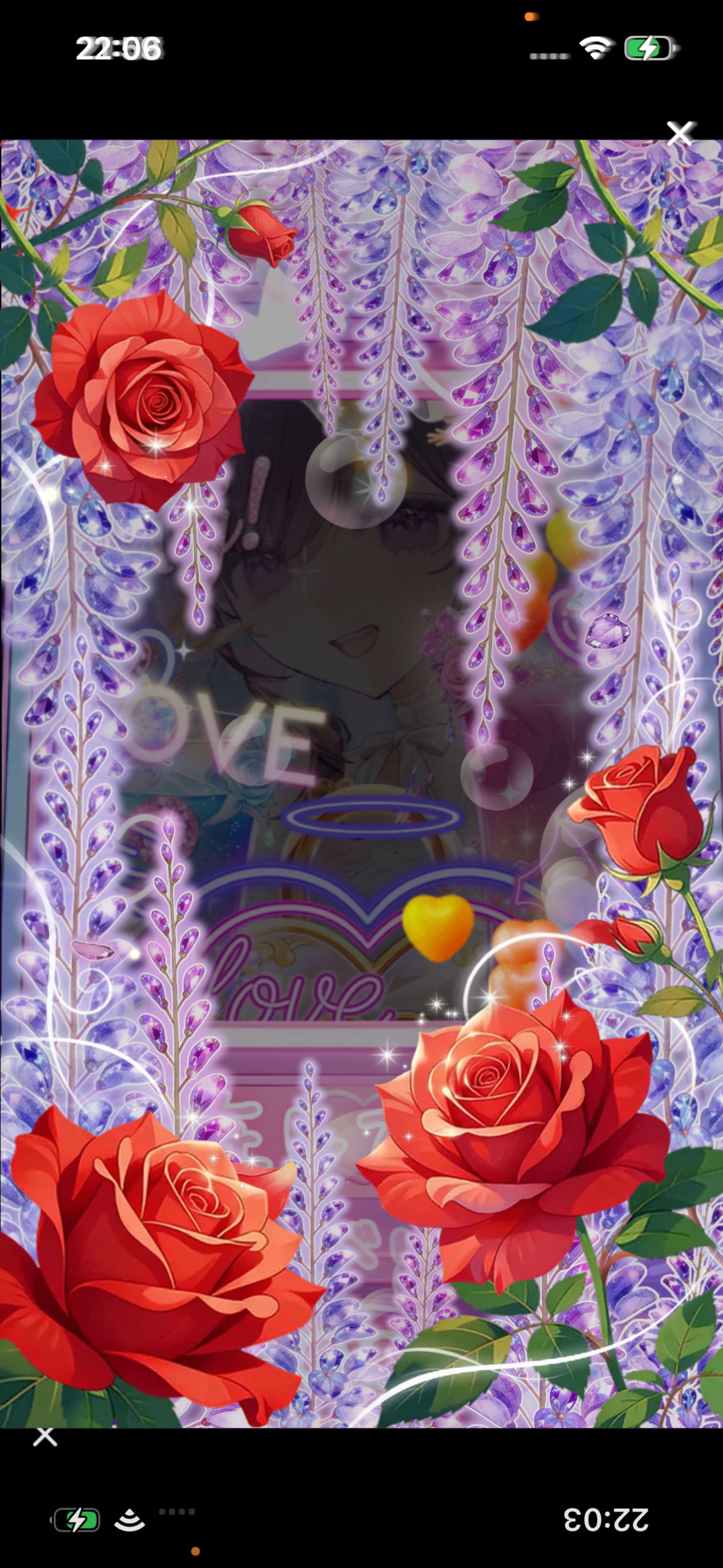 ぶんまわしー 🌹