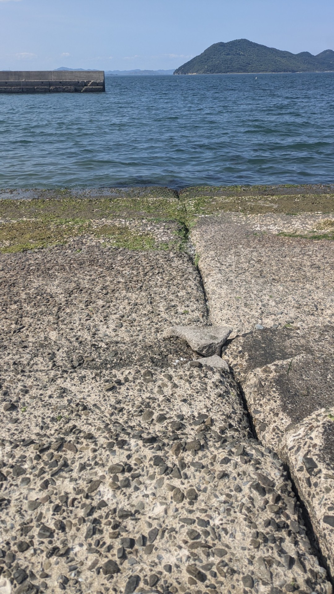 サボって海だわな
