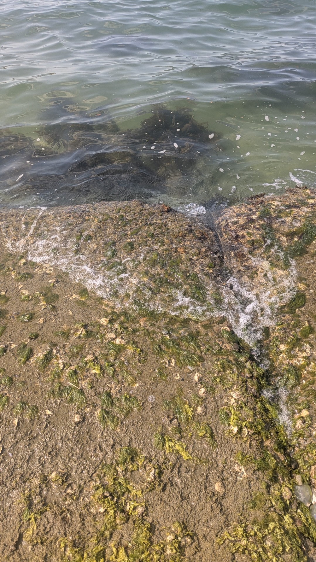 サボって海だわな