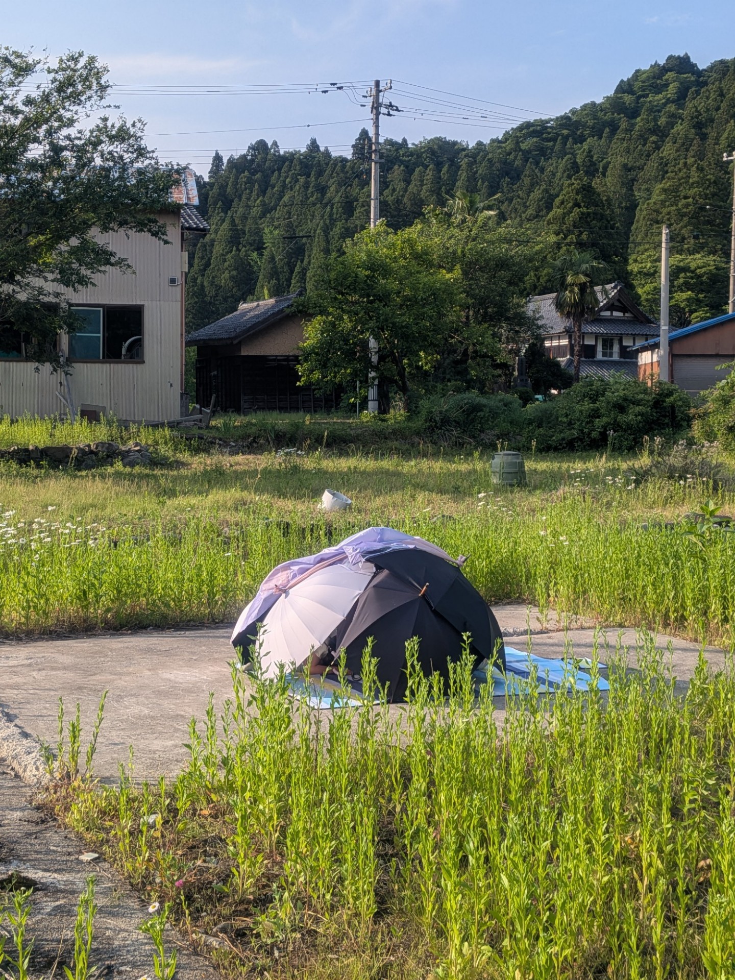 タバコ巻くギターする寝る
