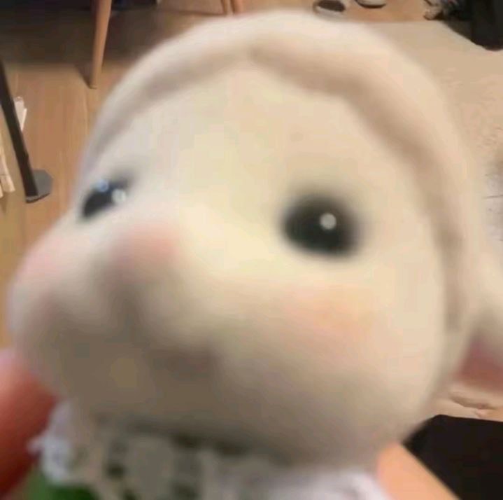 おはゆ~🌹