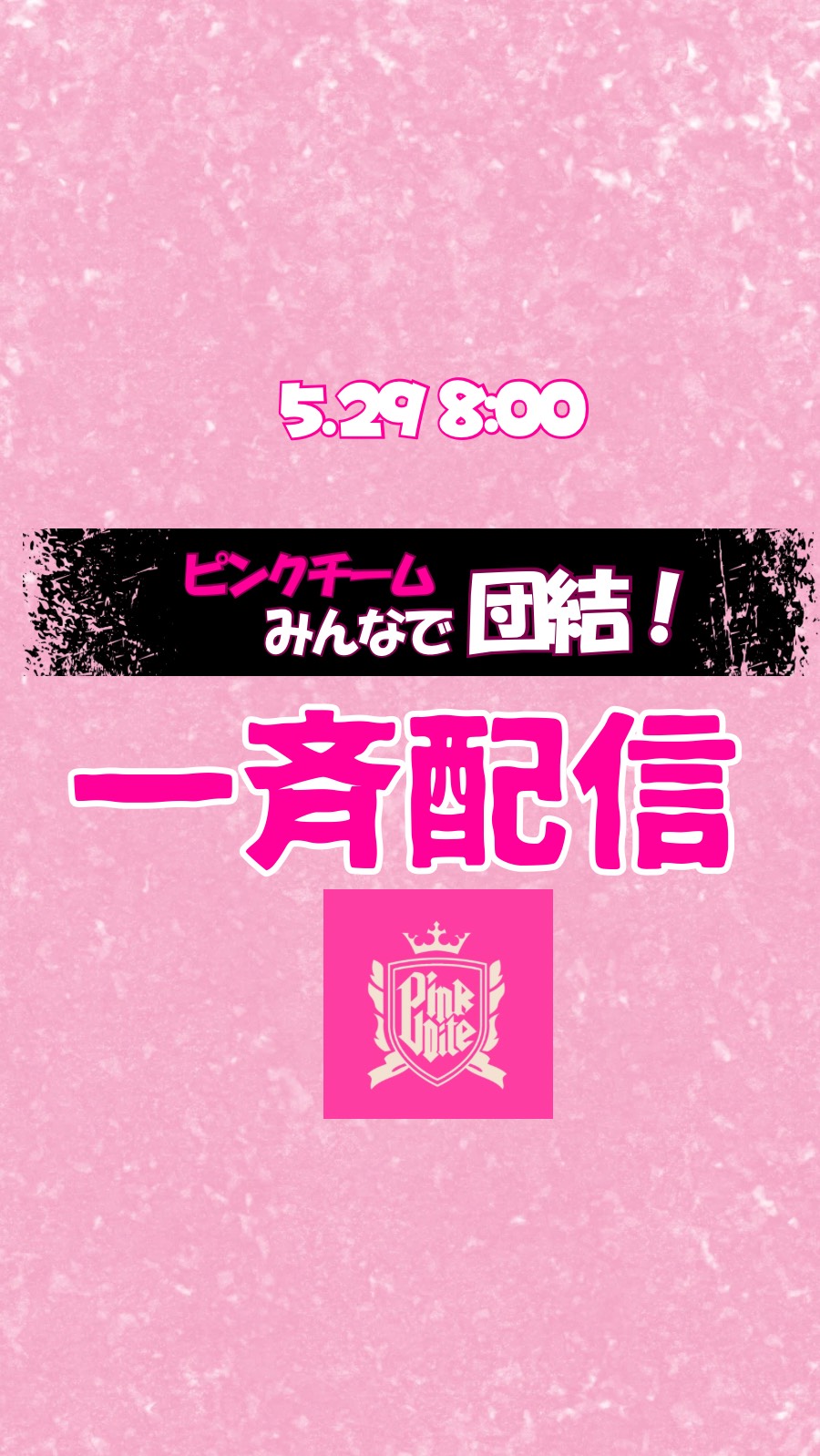 🩷ピンクチーム一斉配信🩷