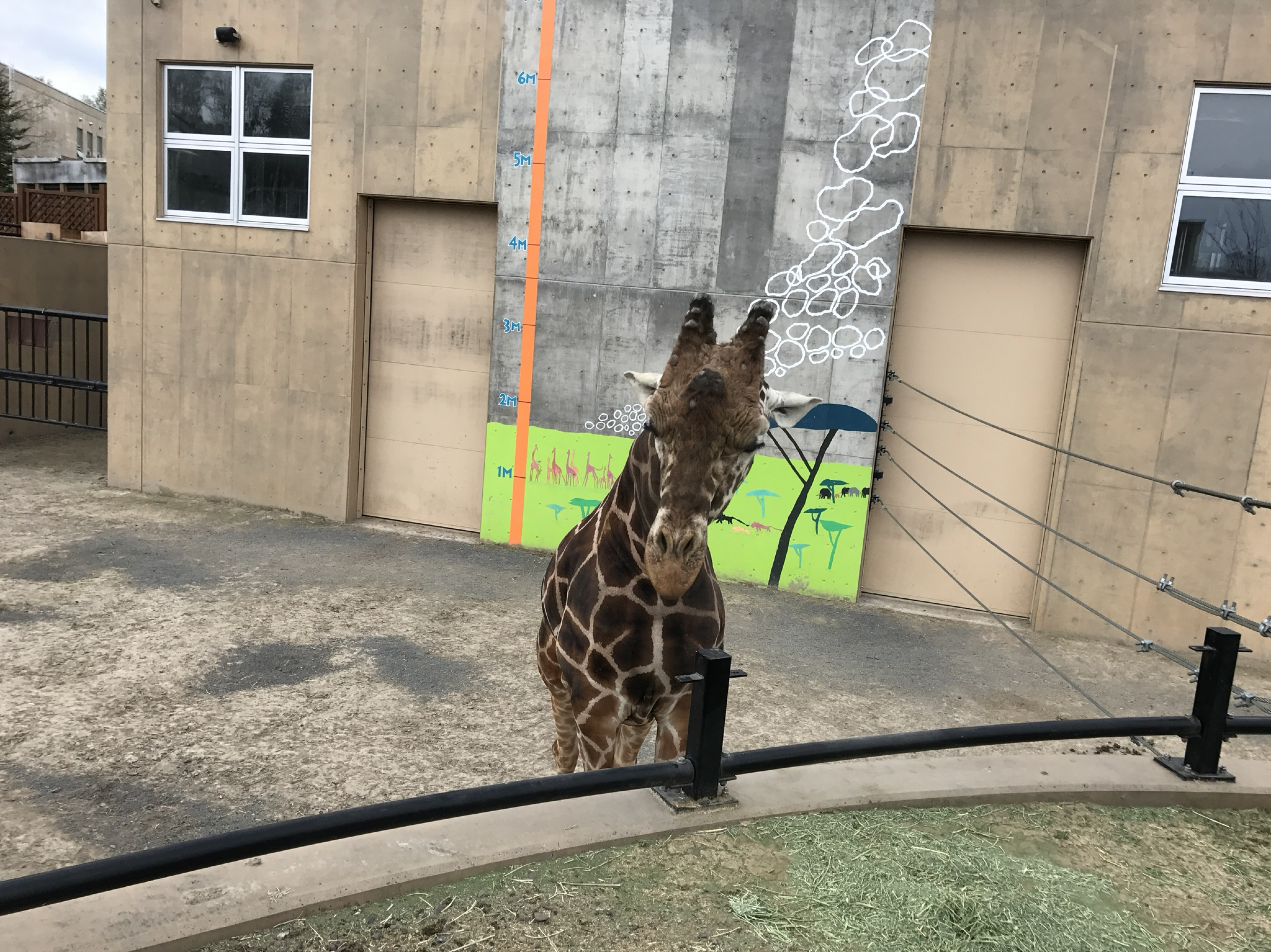 土曜日のタッチダウン